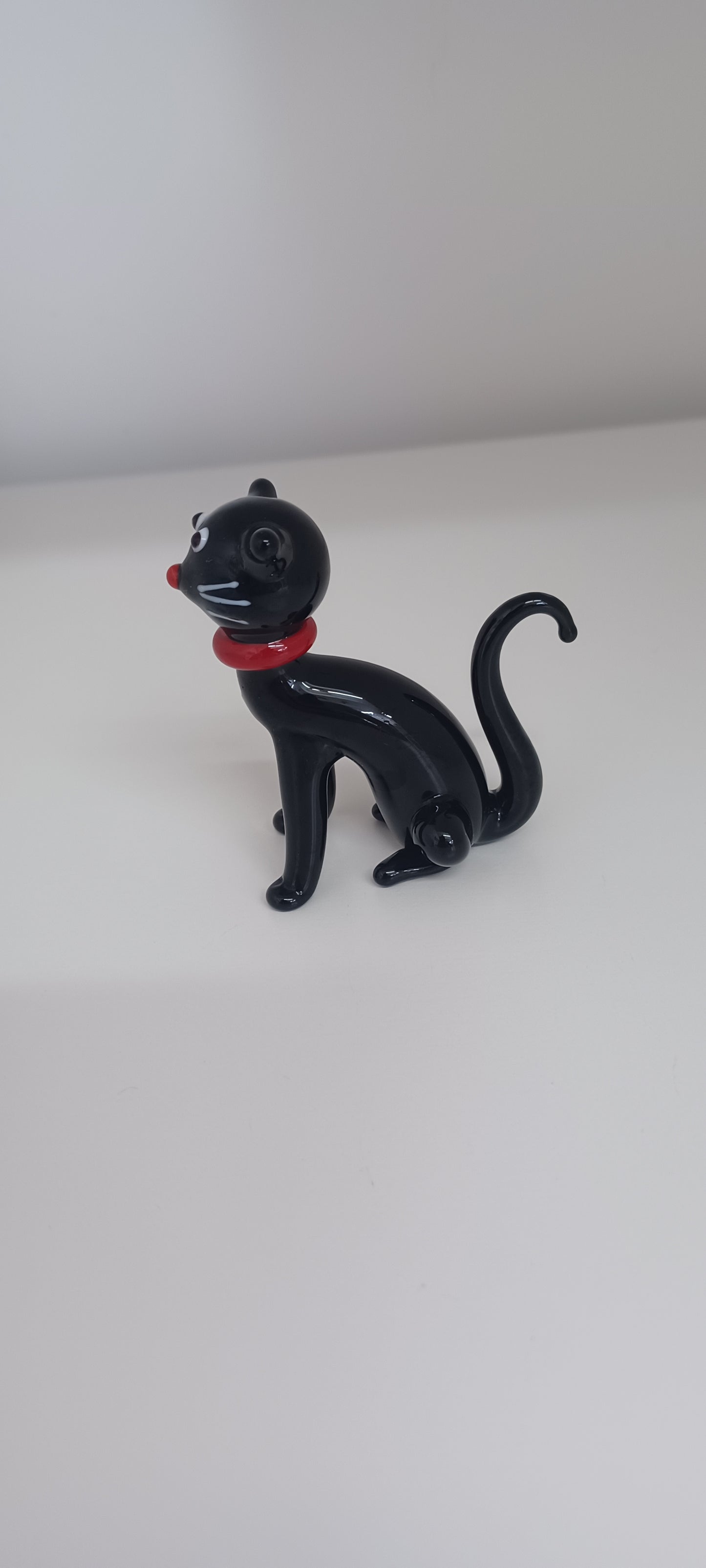 Glass Cat