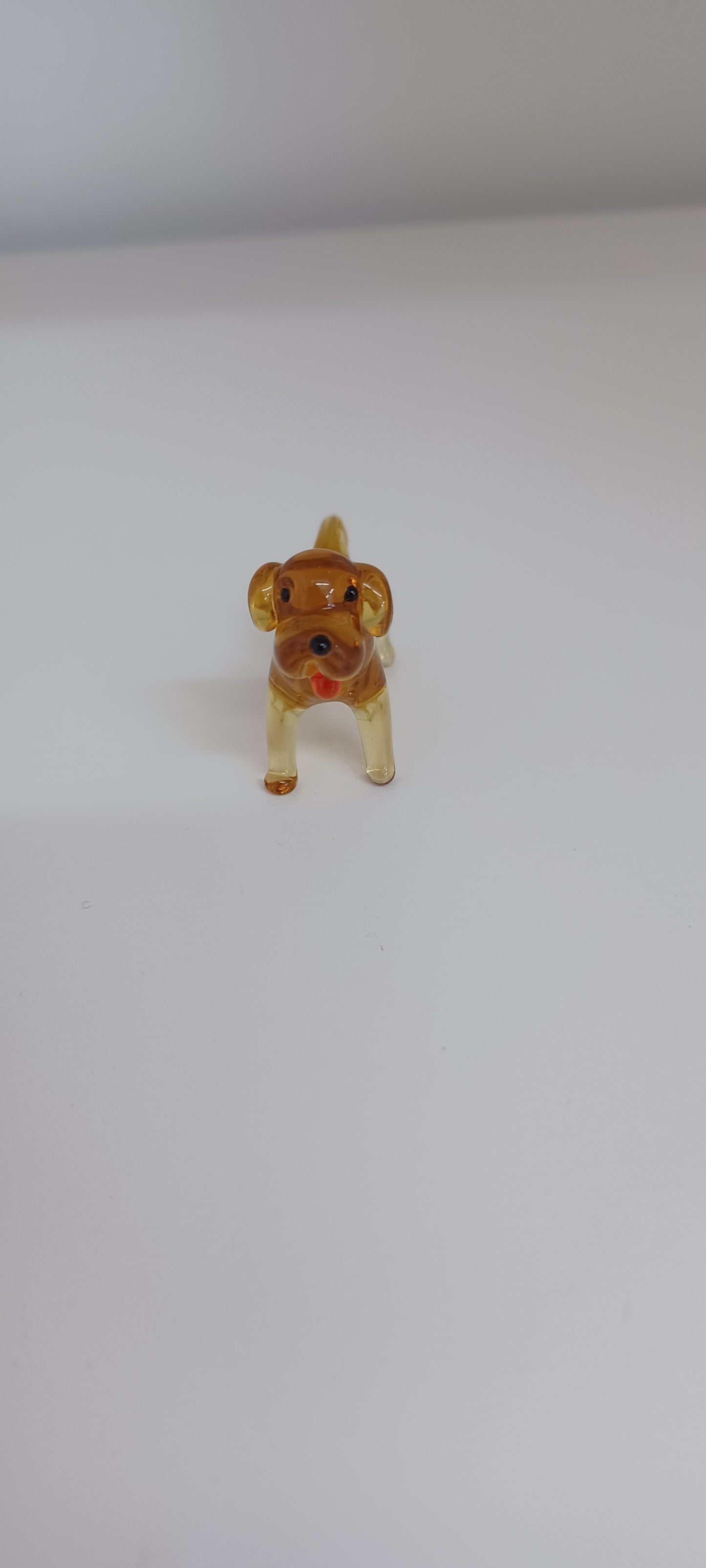 Glass Dog