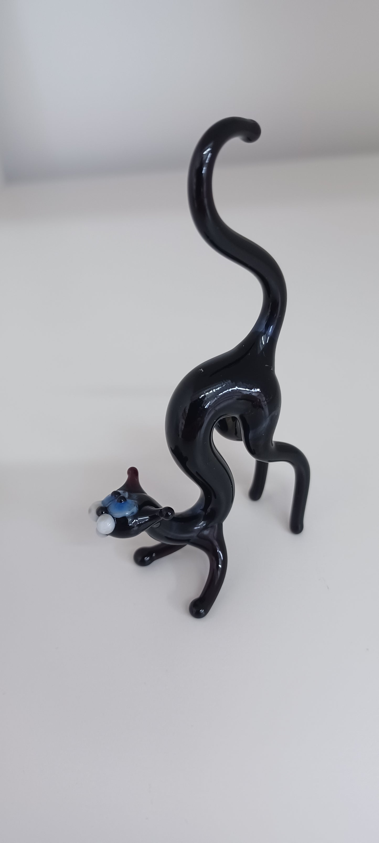 Glass Cat