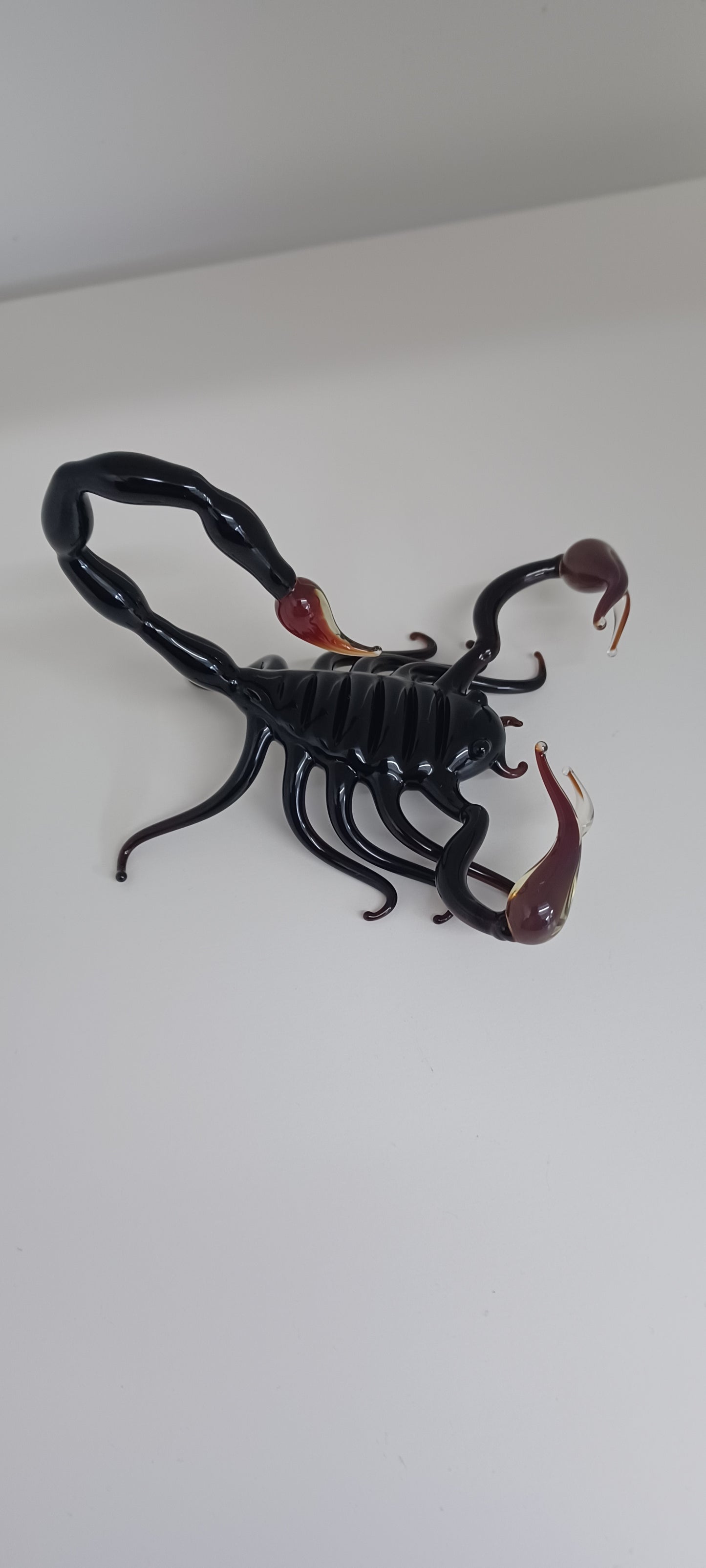 Glass Scorpion