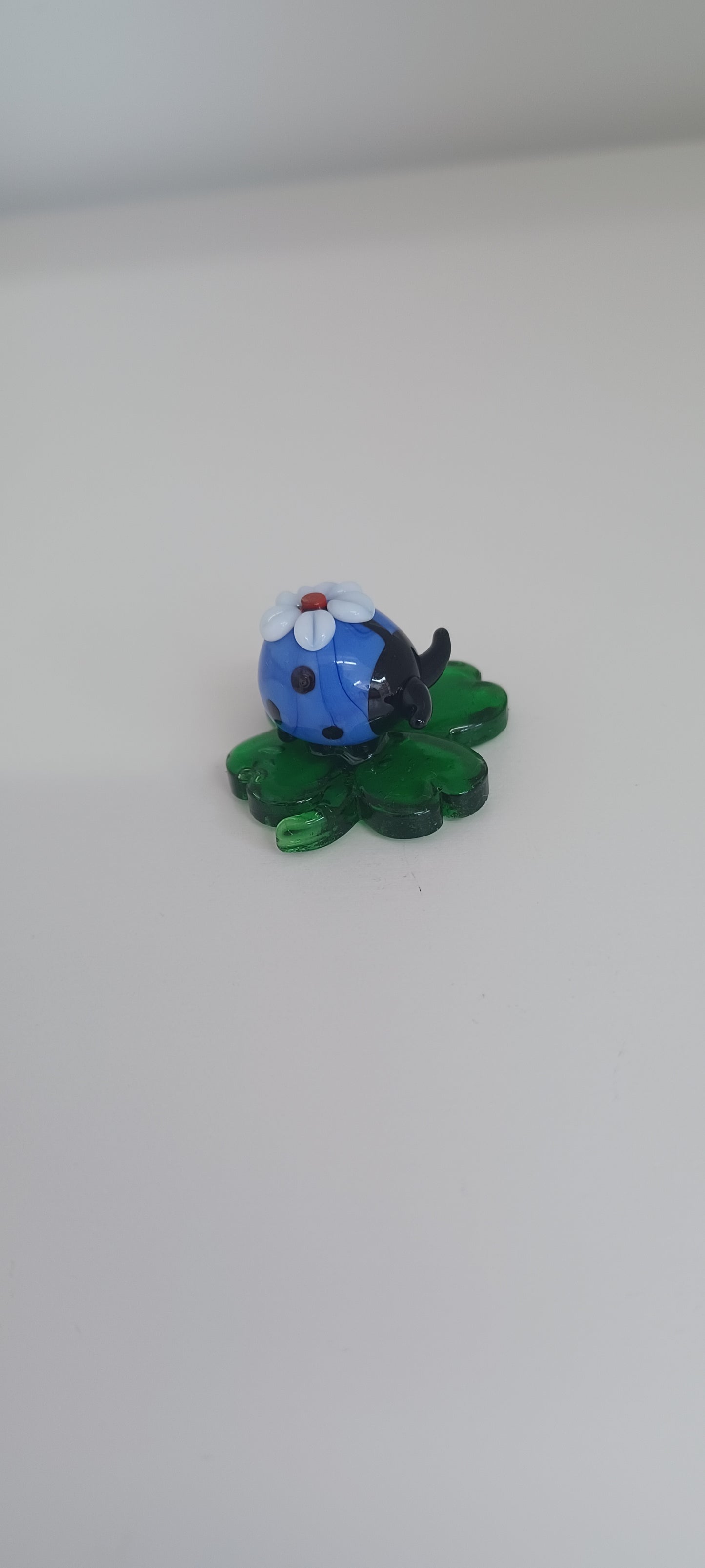Glass Ladybird