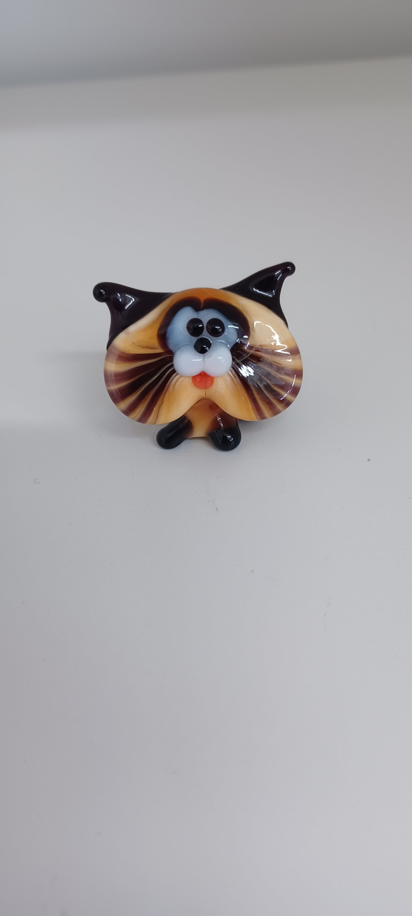 Glass Cat