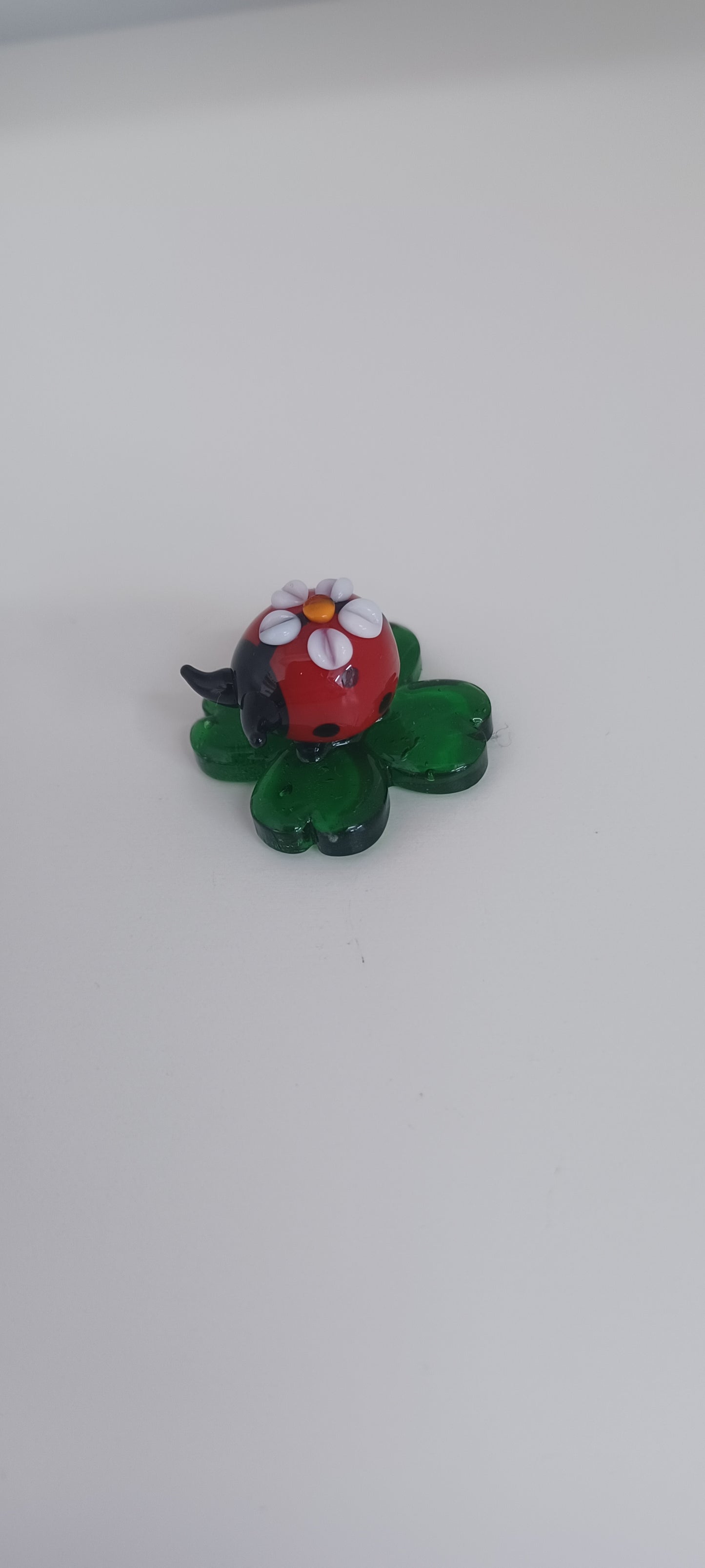 Glass Ladybird