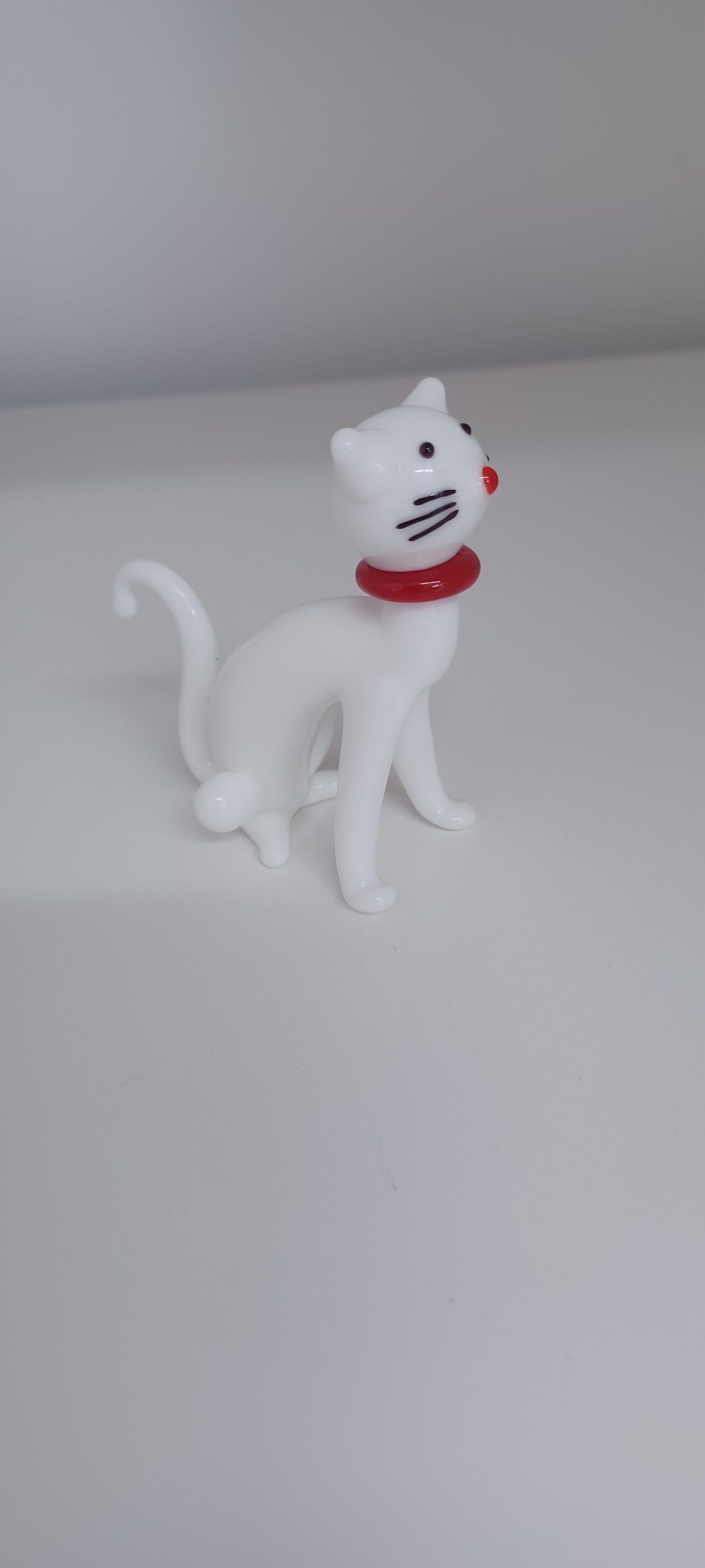 Glass Cat