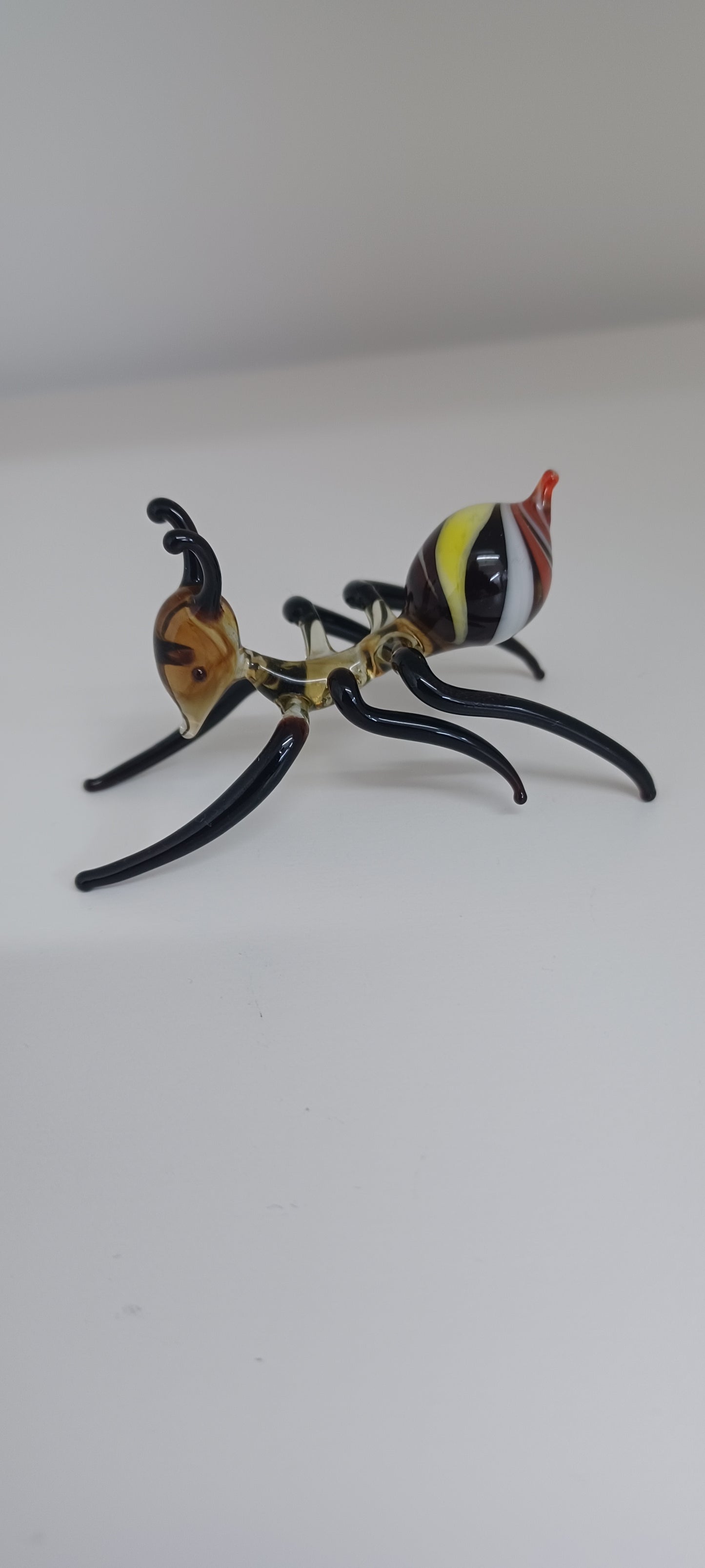 Glass Ant