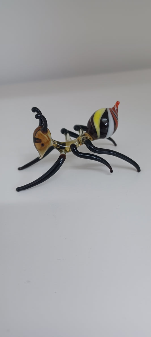 Glass Ant