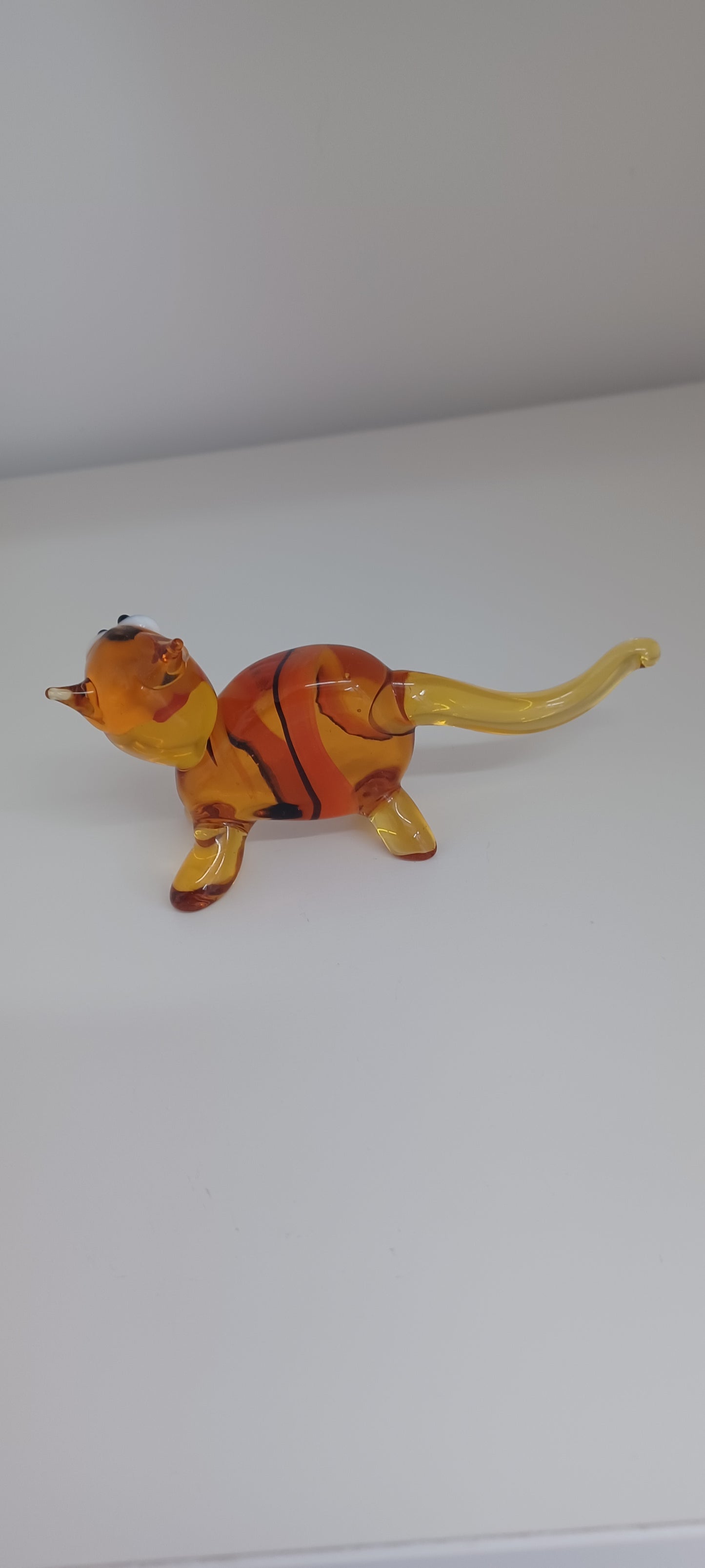 Glass Cat