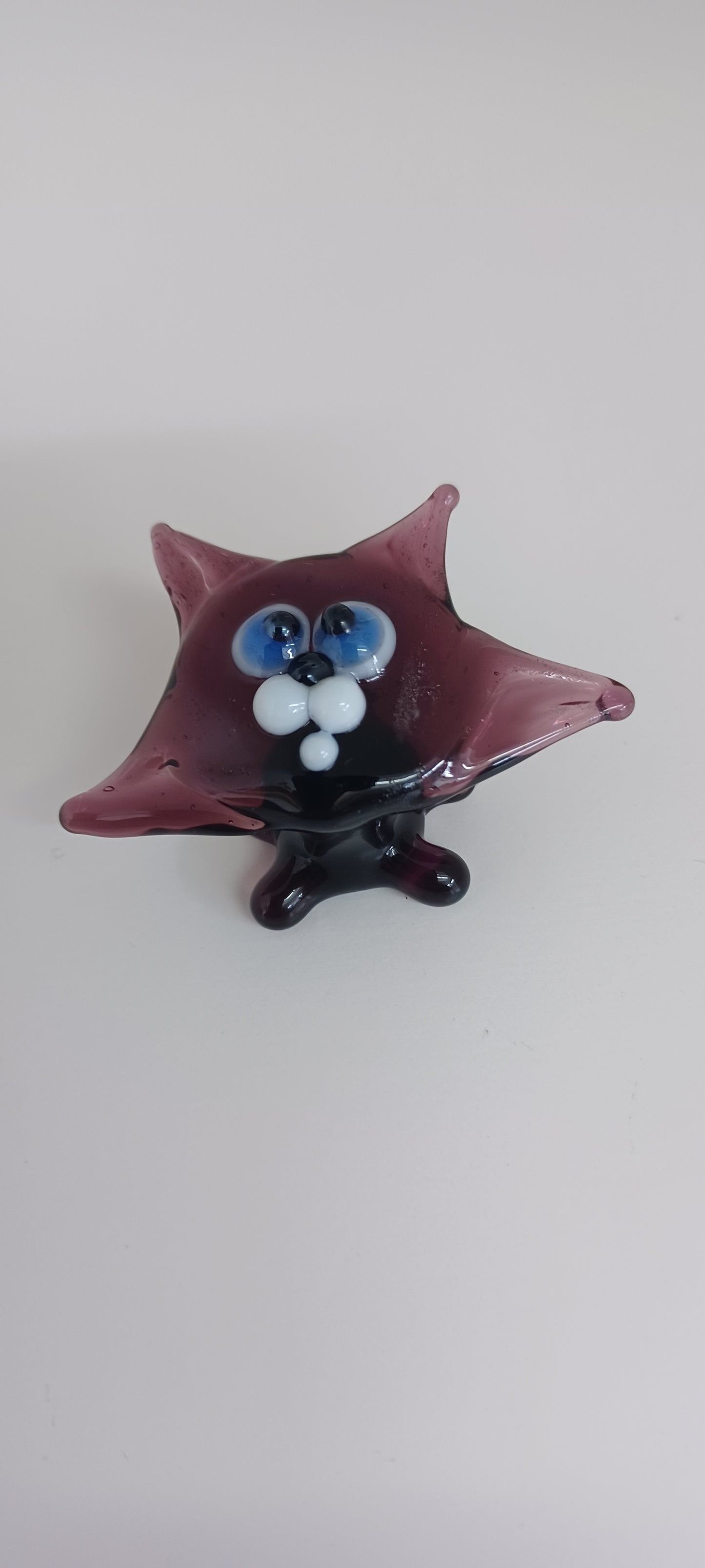 Glass Cat