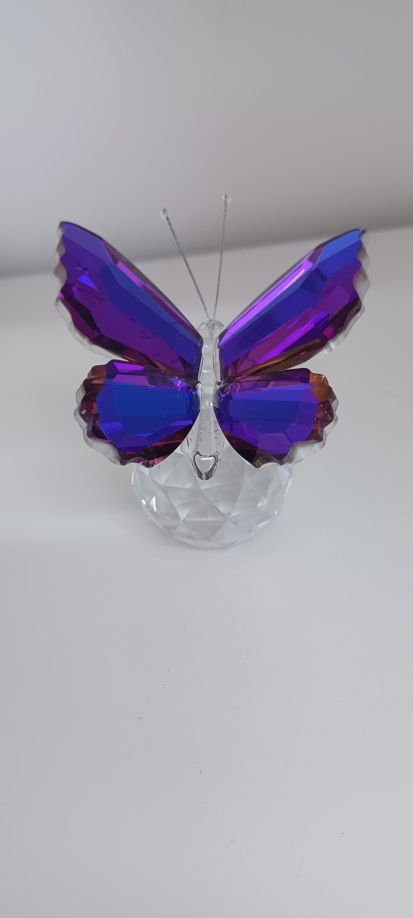 Glass Butterfly