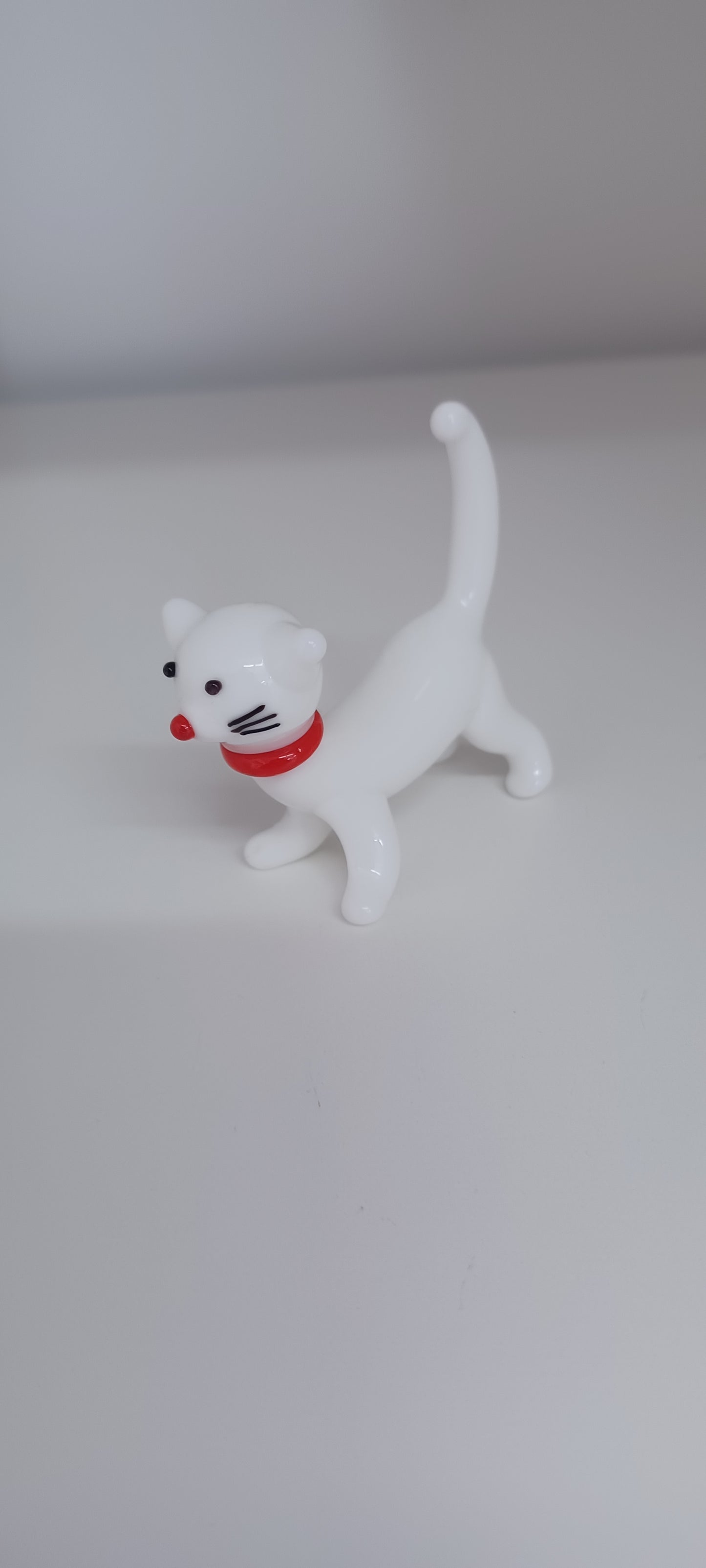 Glass Cat