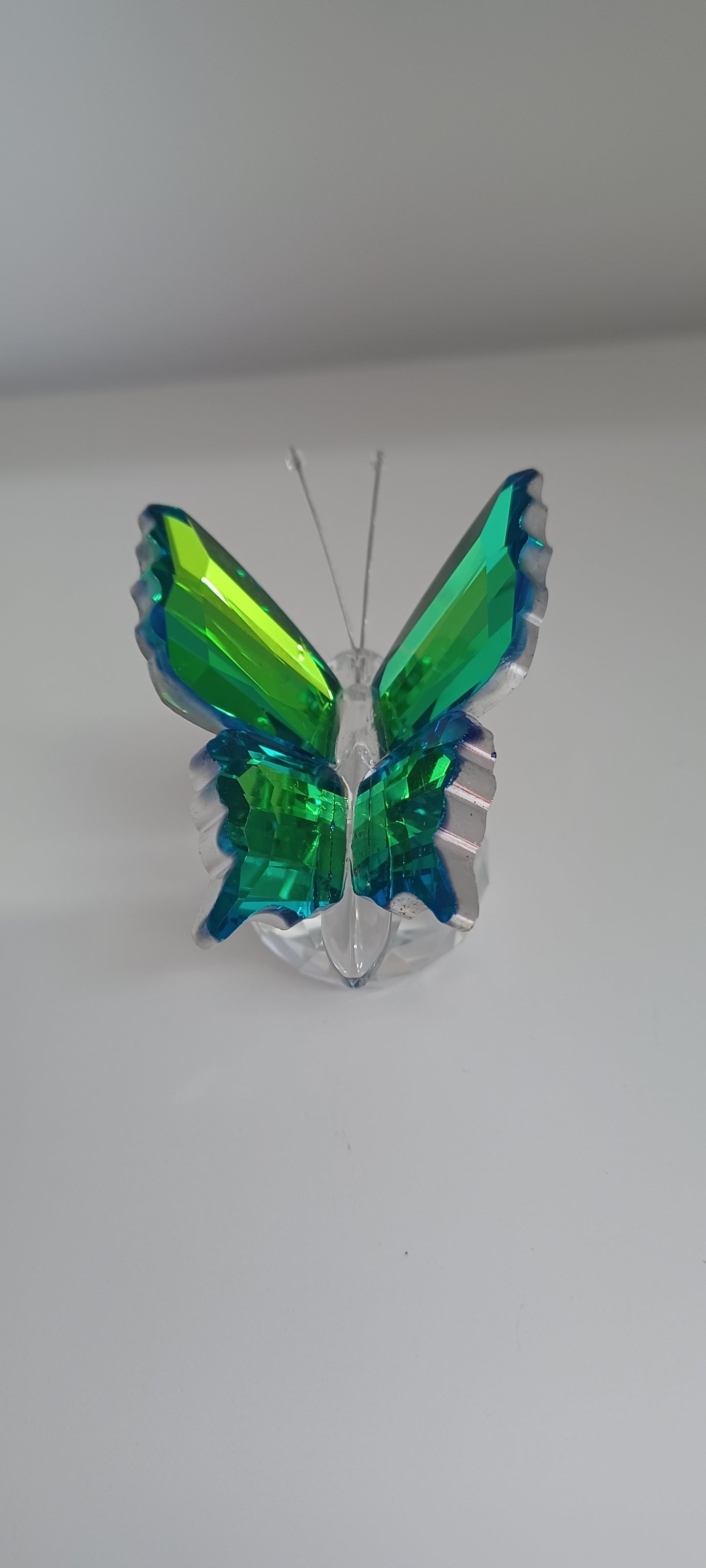 Glass Butterfly