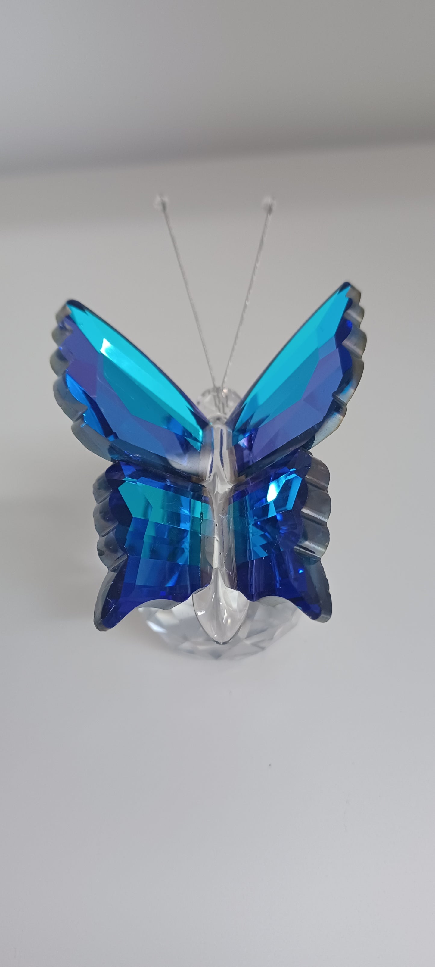 Glass Butterfly