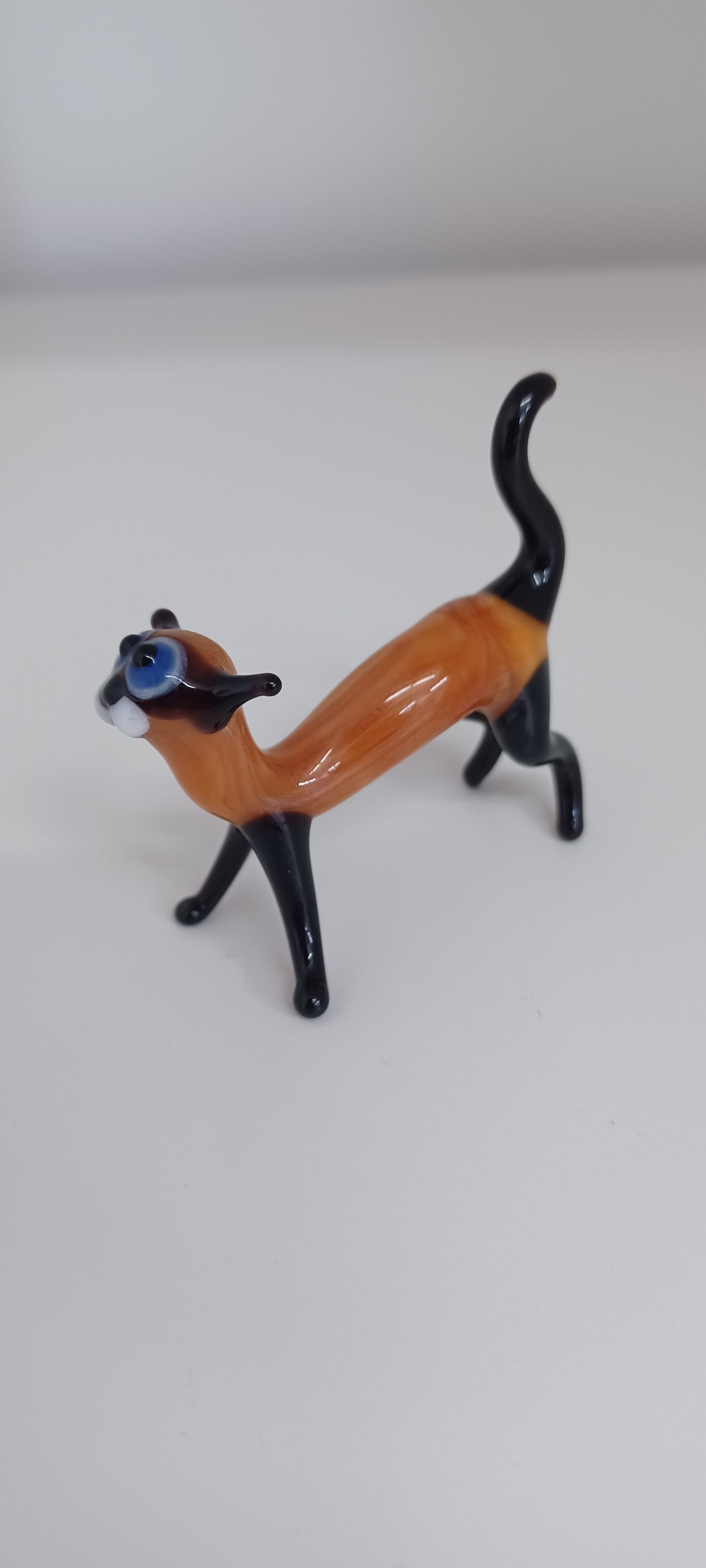 Glass Cat