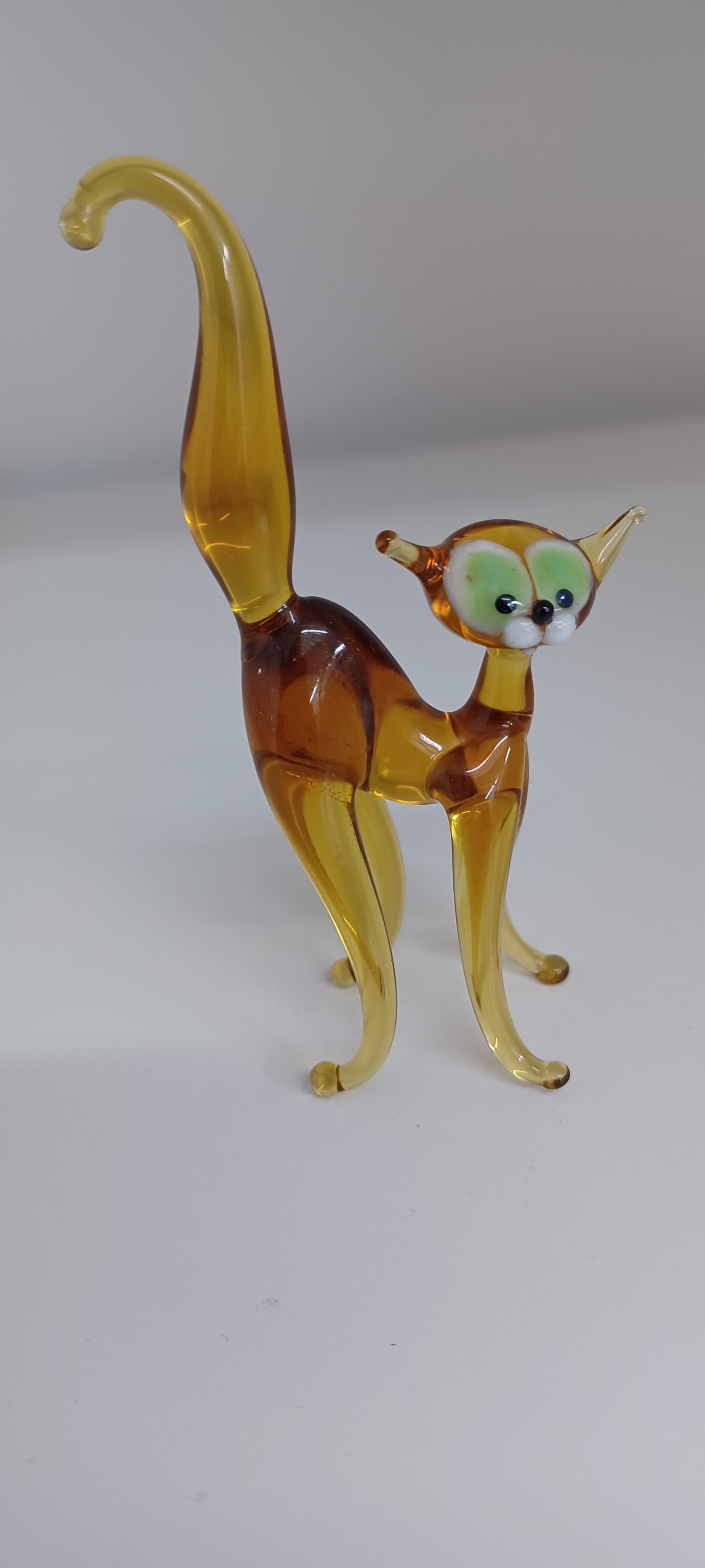 Glass Cat