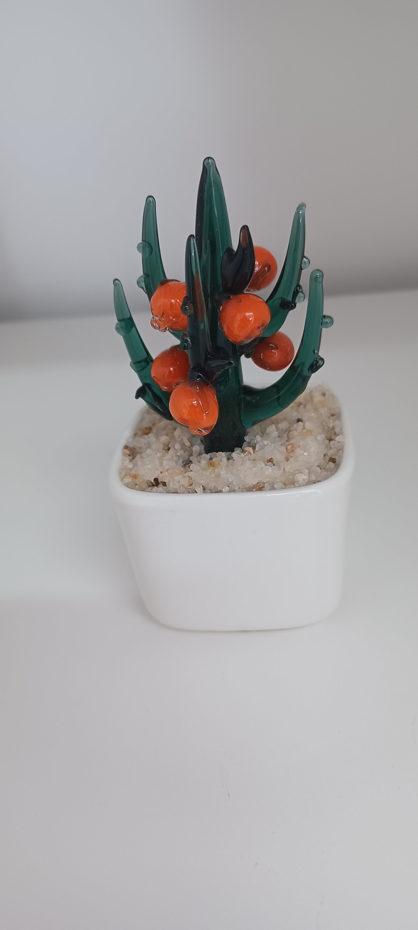 Glass Cactus