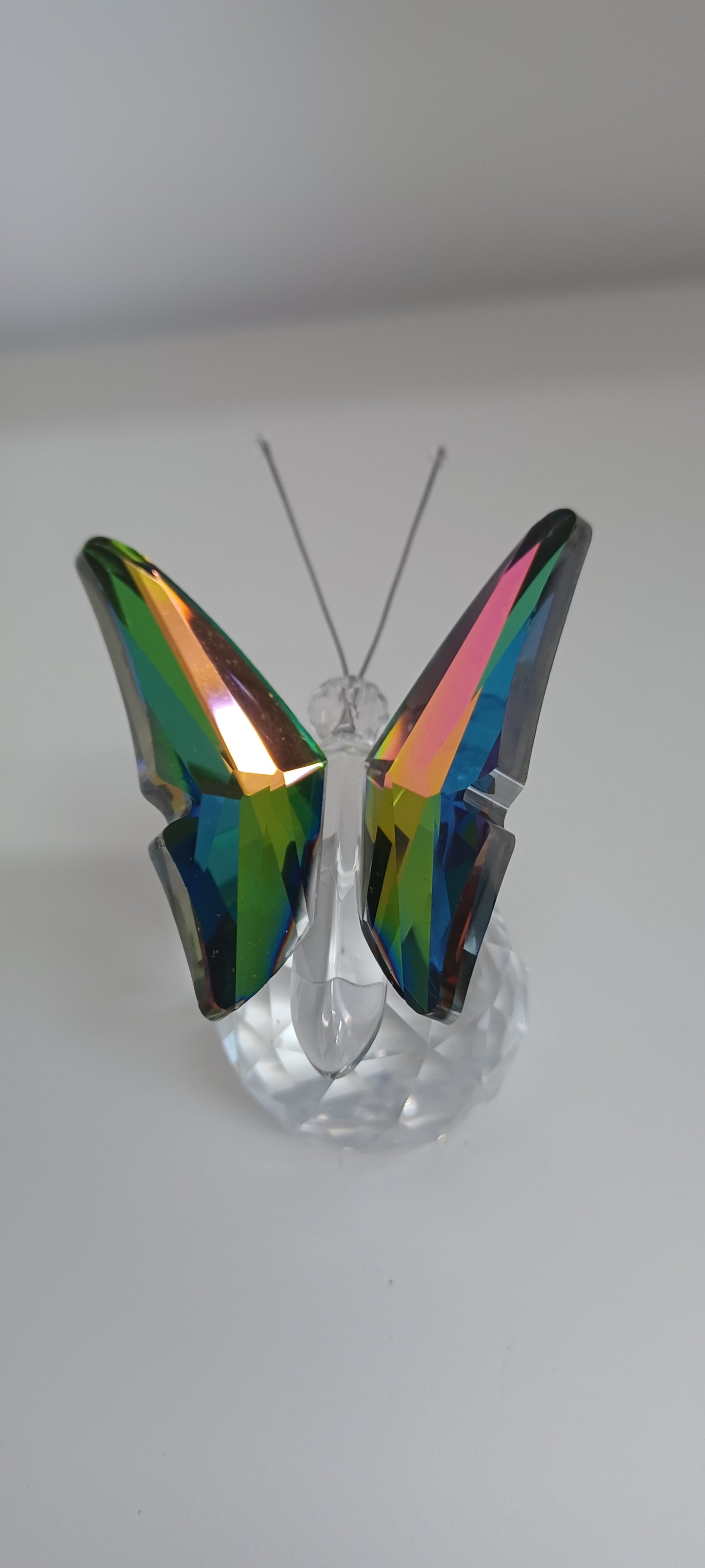 Glass Butterfly