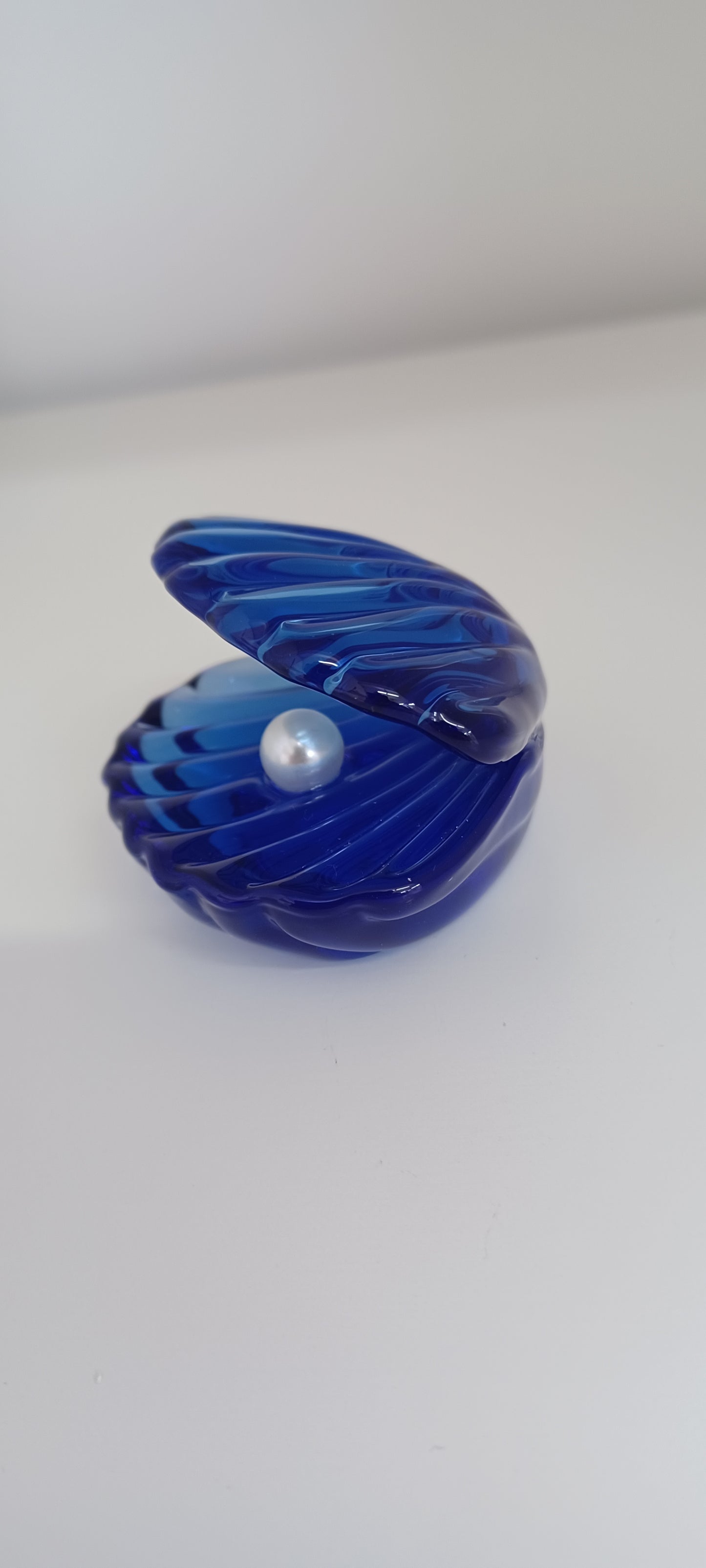 Glass Shell