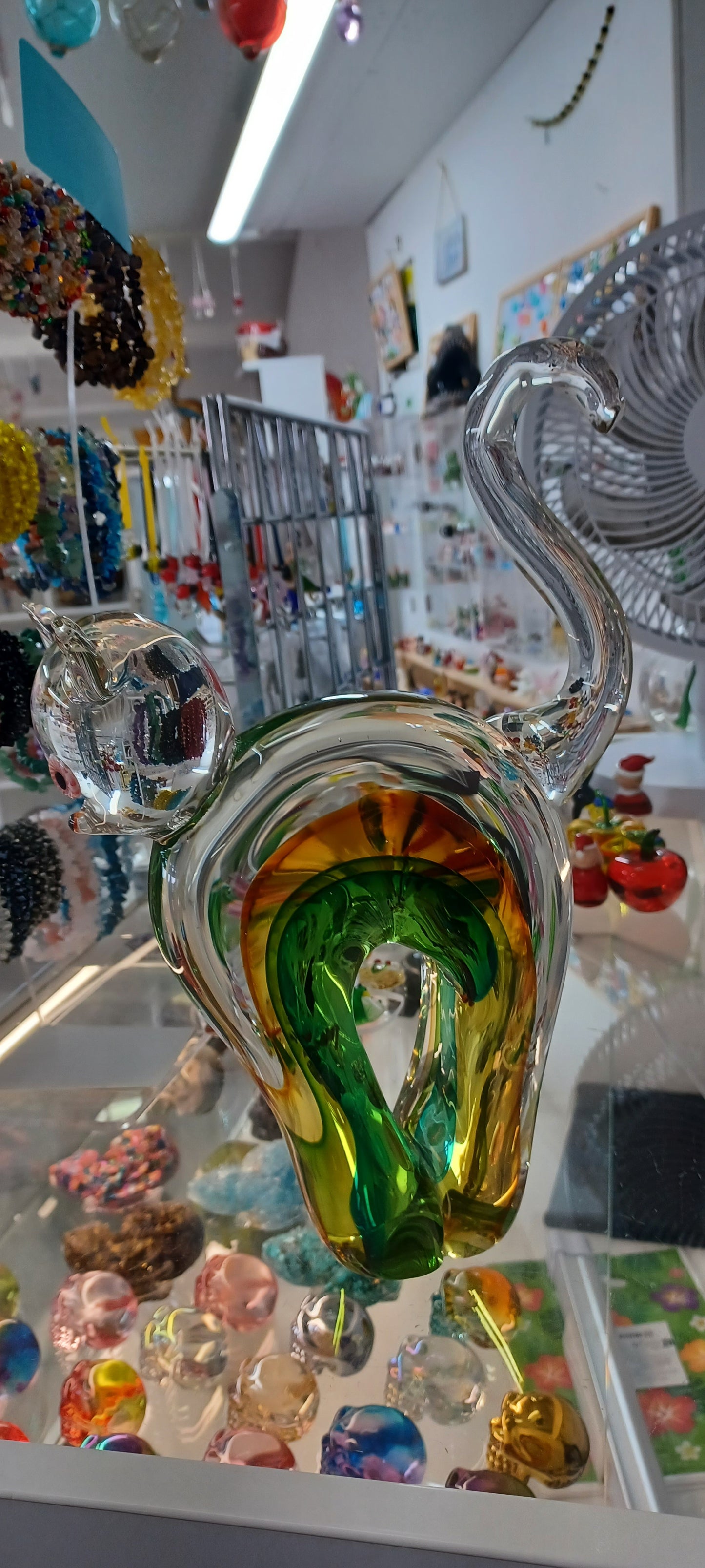 Glass Cat
