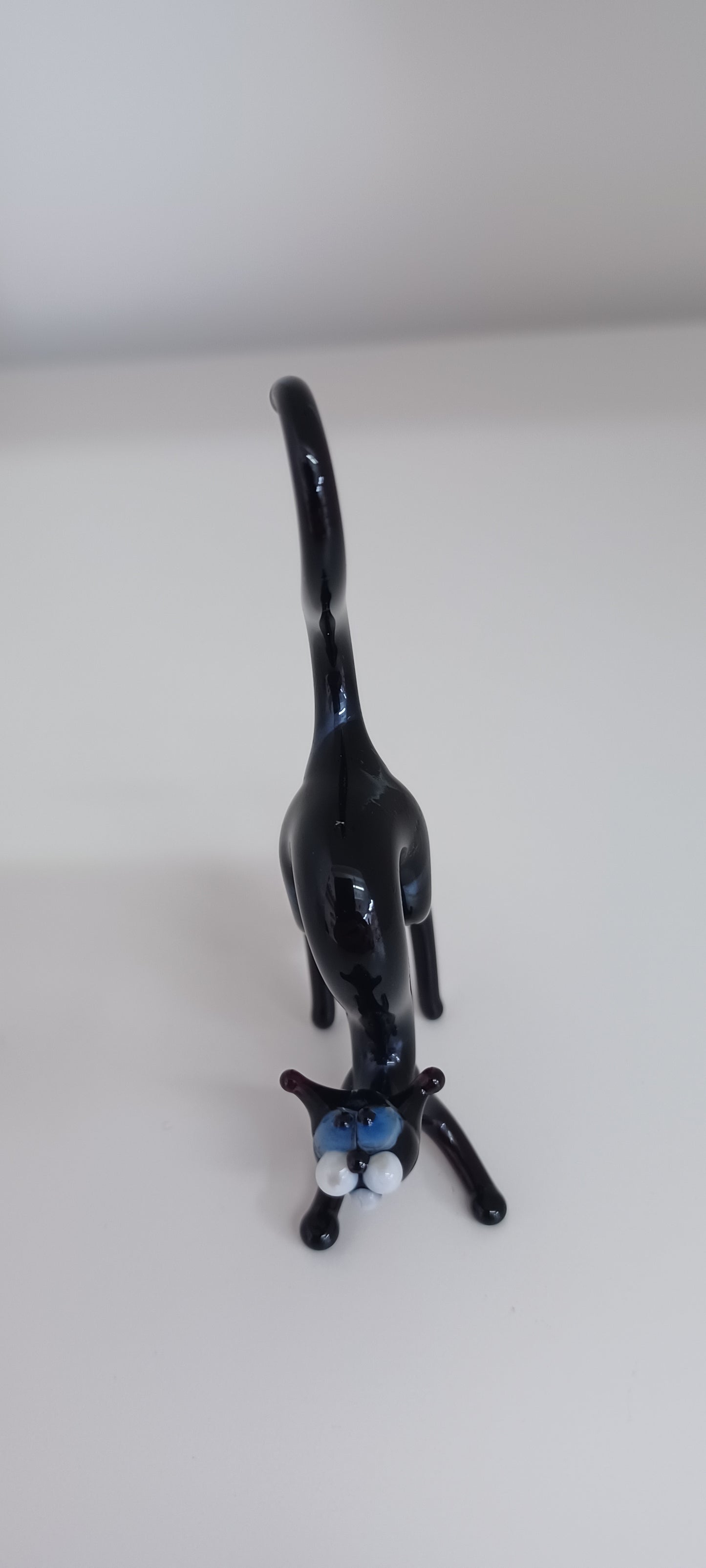 Glass Cat