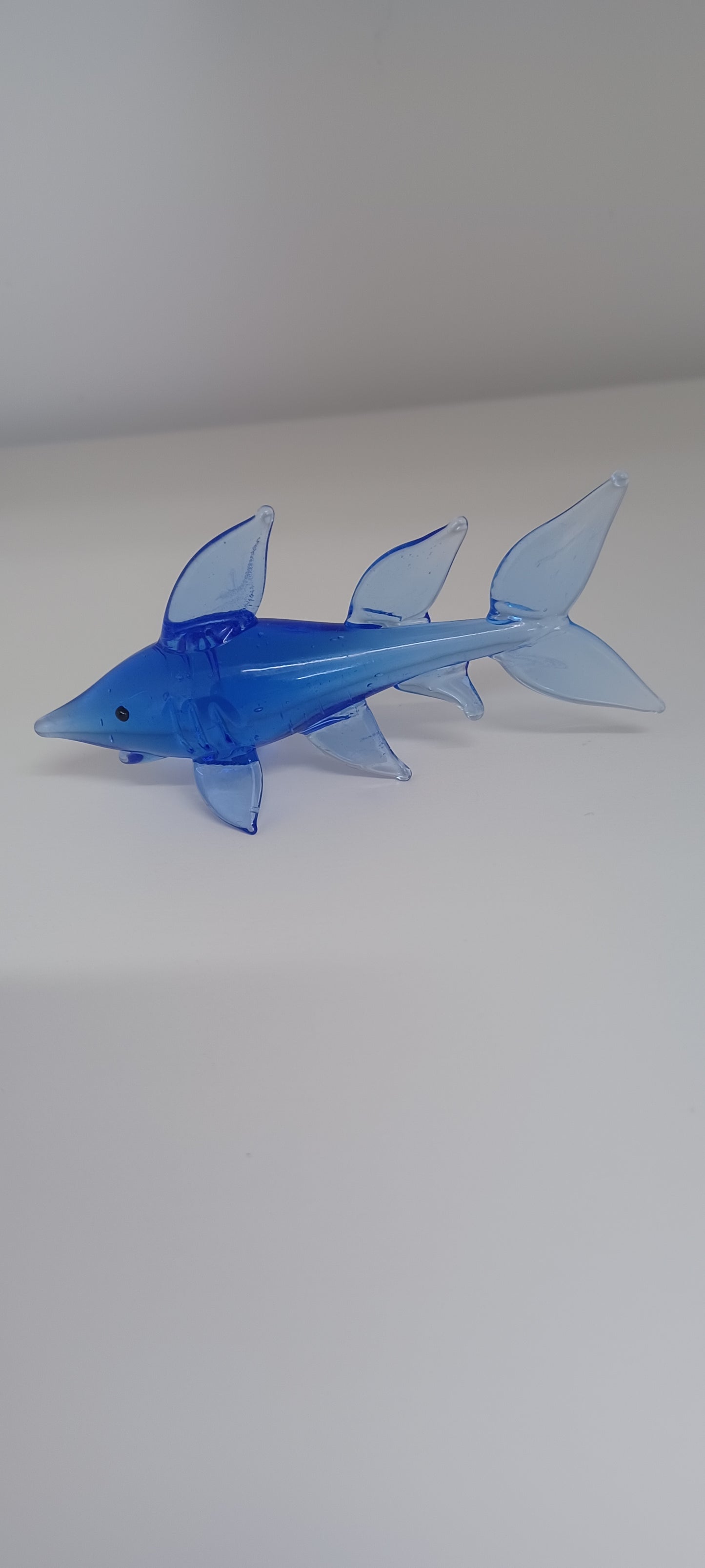Glass Shark