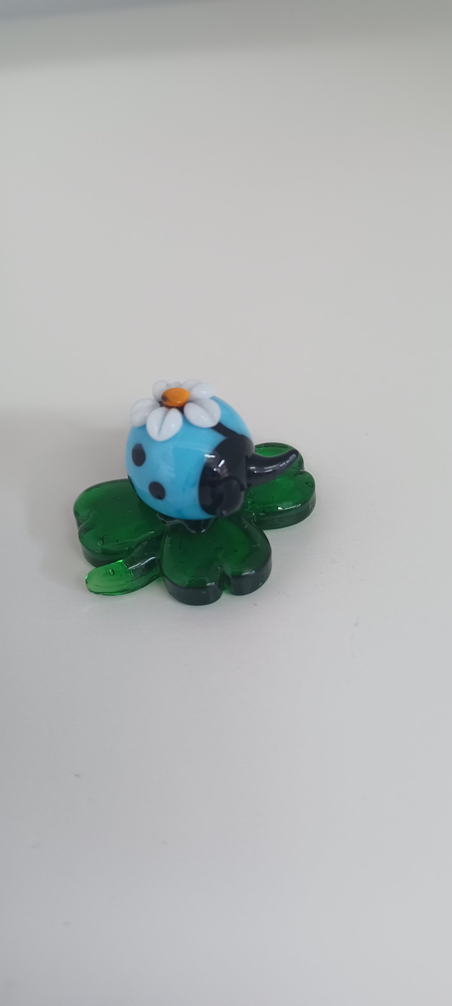 Glass Ladybird