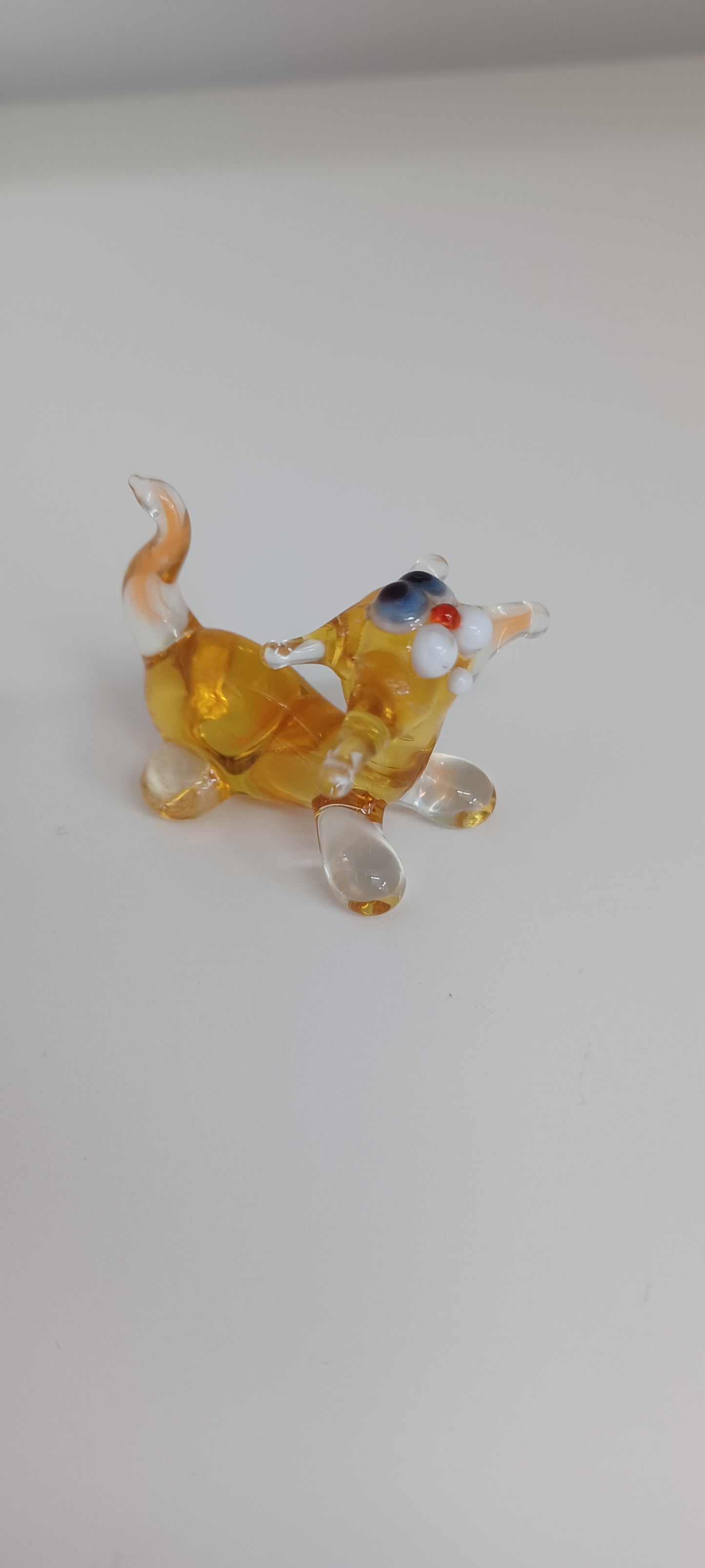 Glass Cat