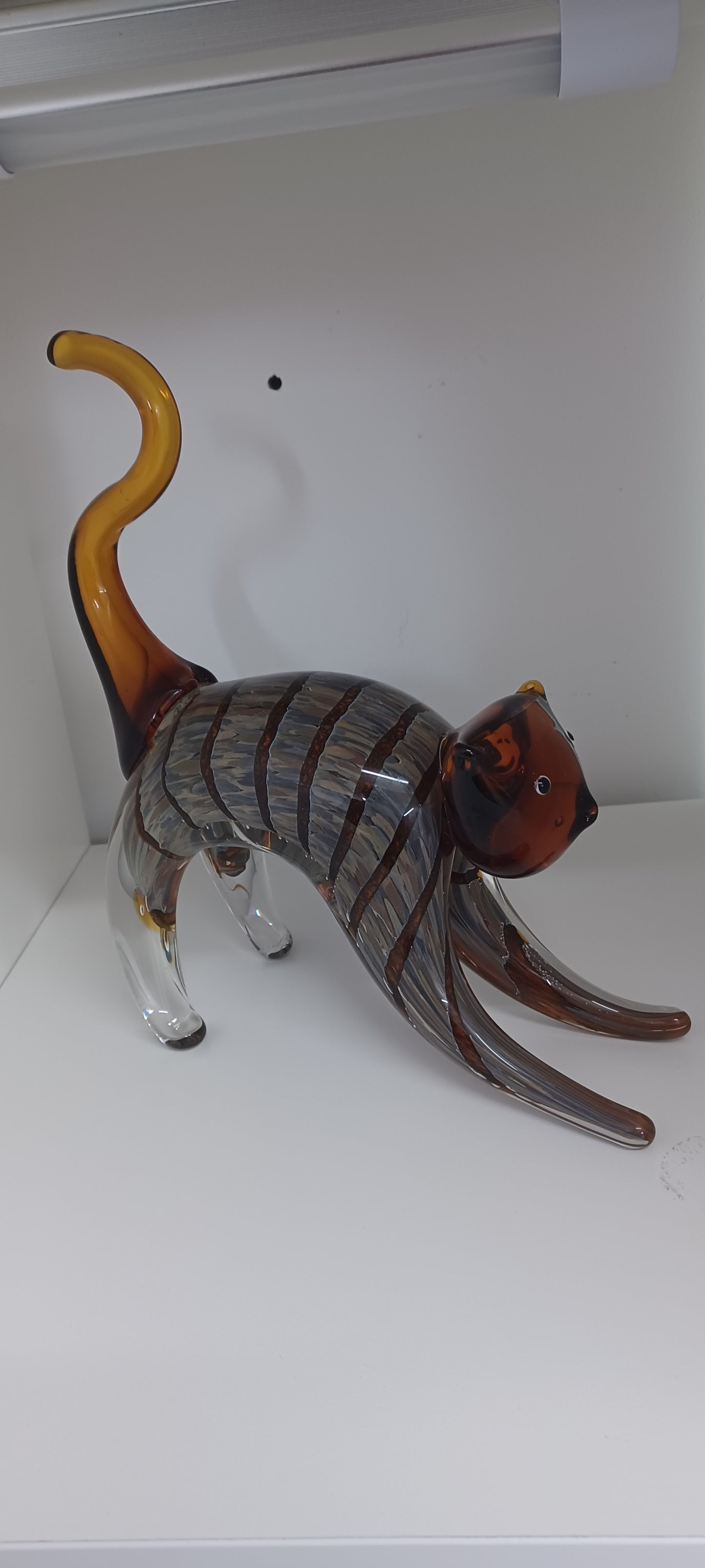 Glass Cat