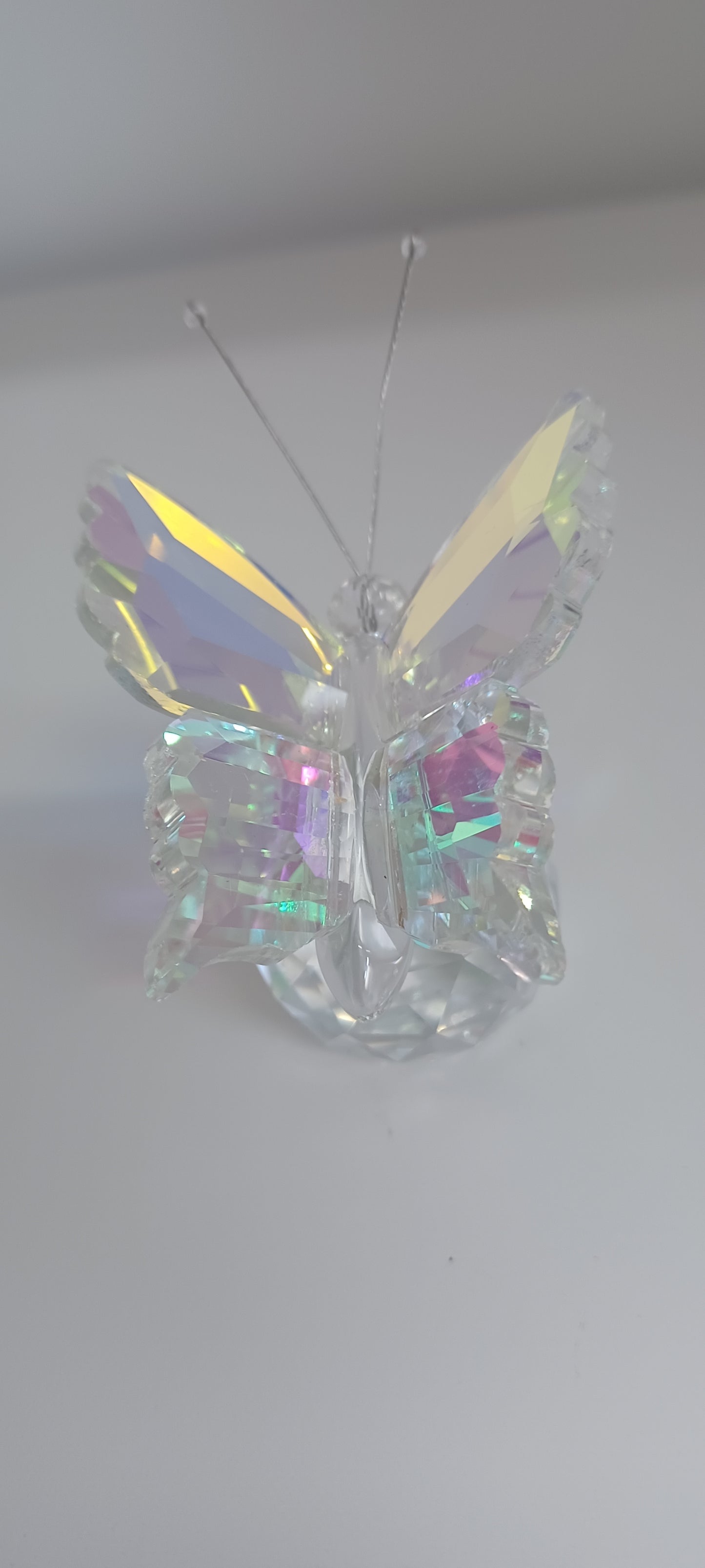 Glass Butterfly