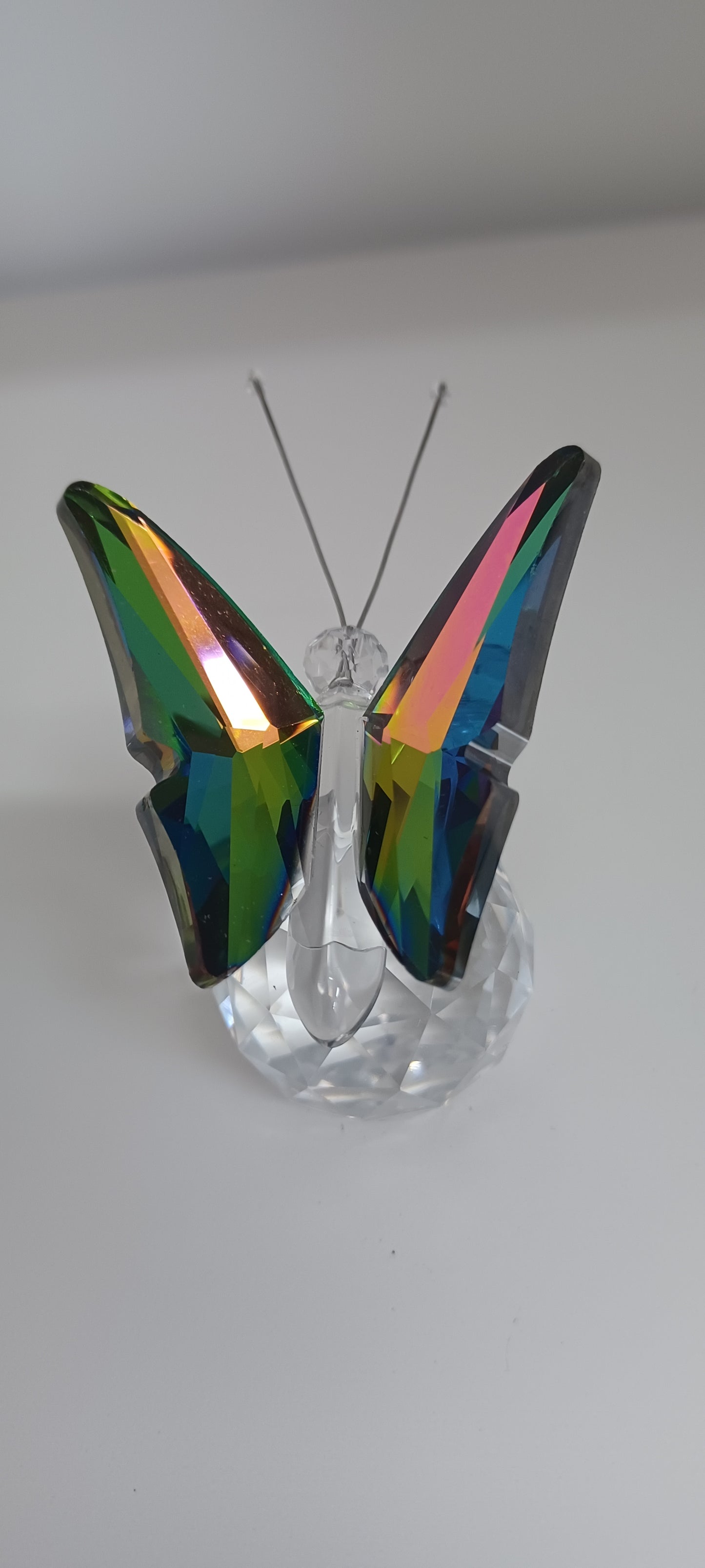 Glass Butterfly