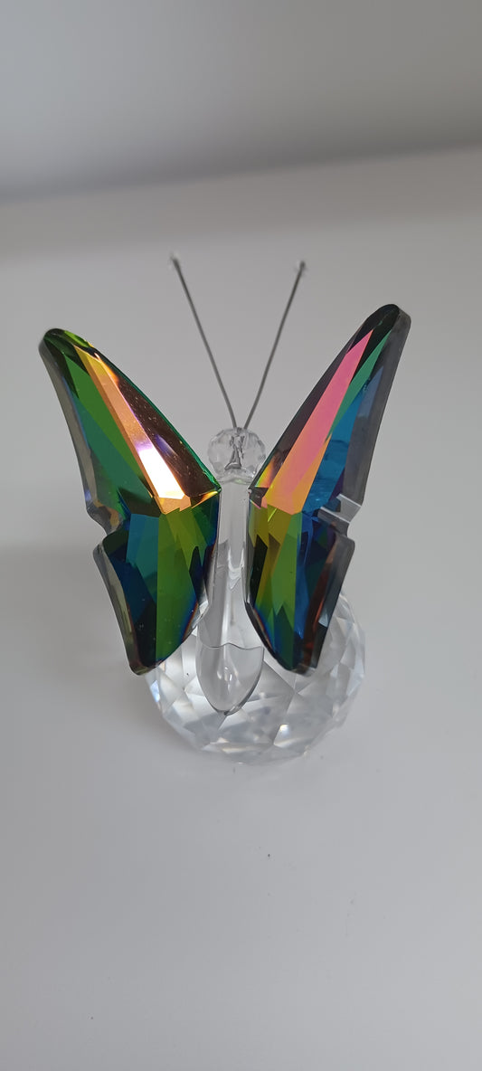 Glass Butterfly