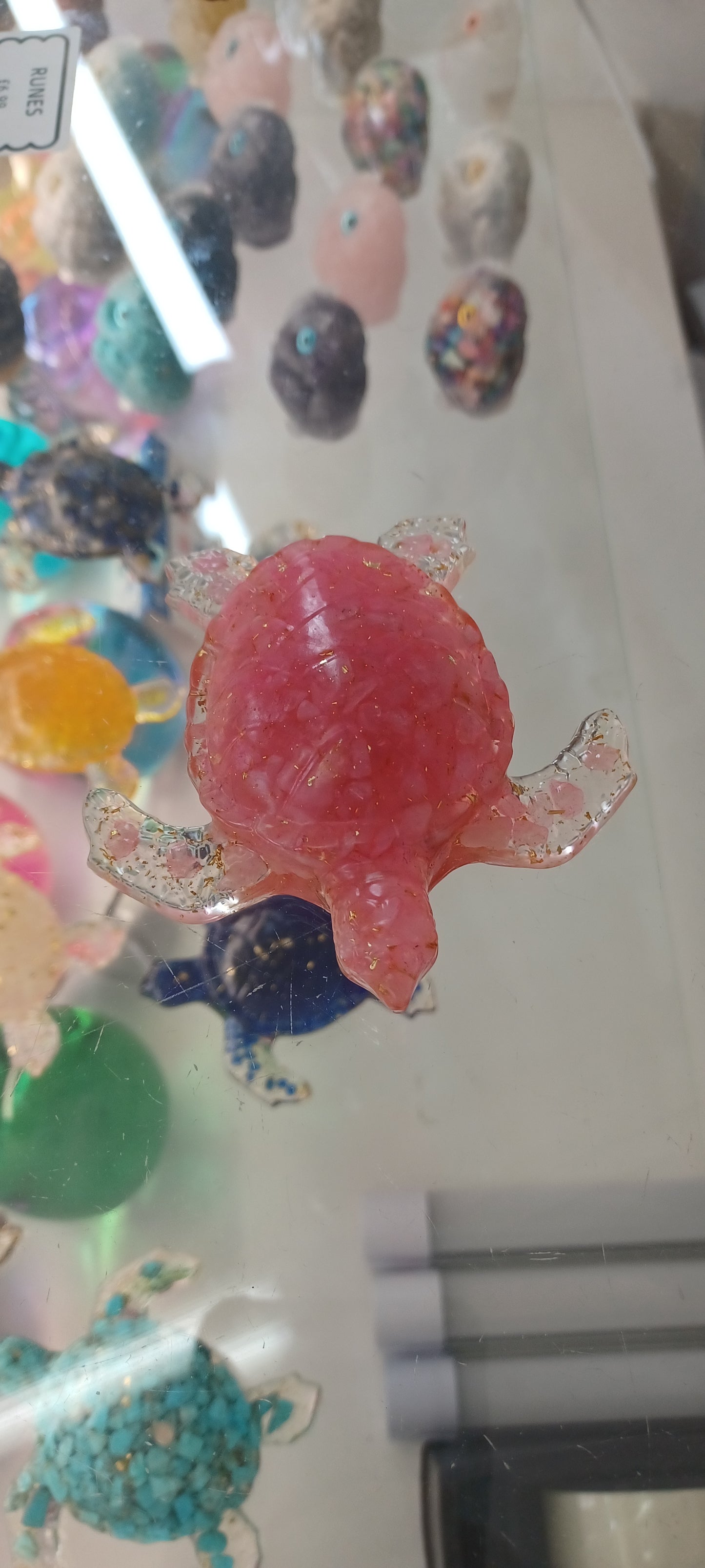 Turtle