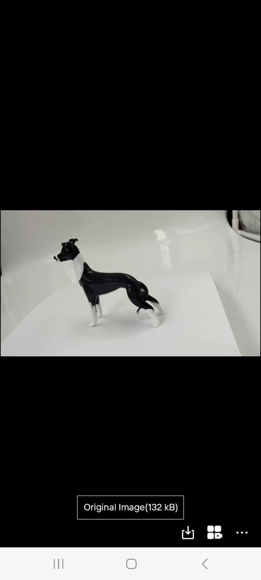 Glass Greyhound