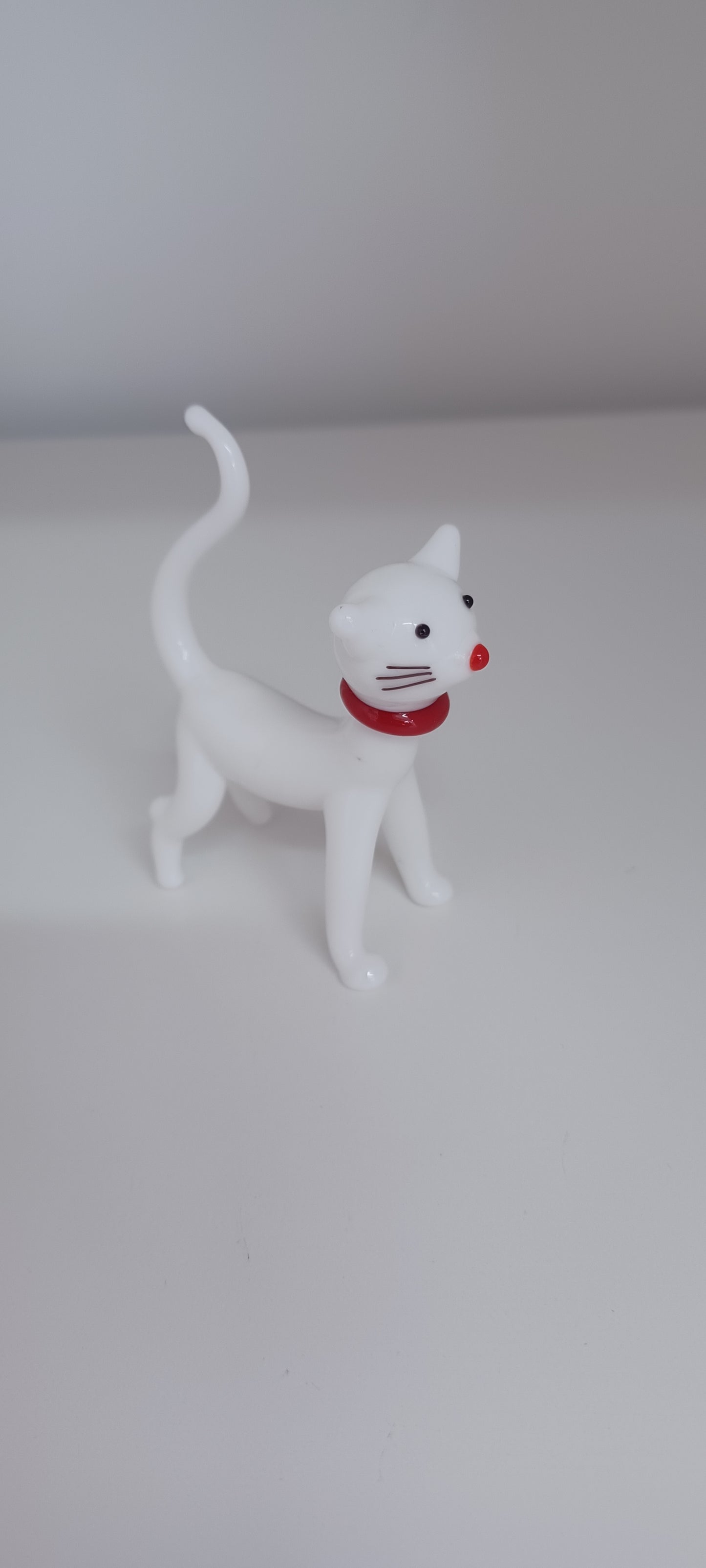 Glass Cat
