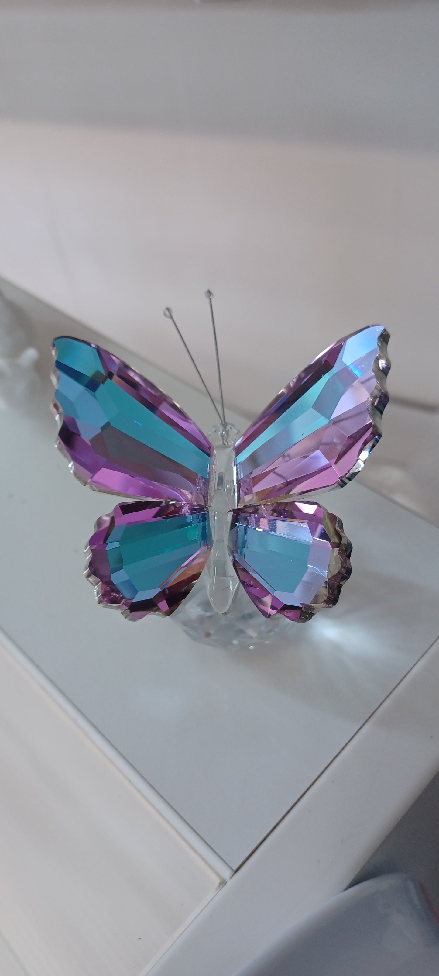 Glass Butterfly