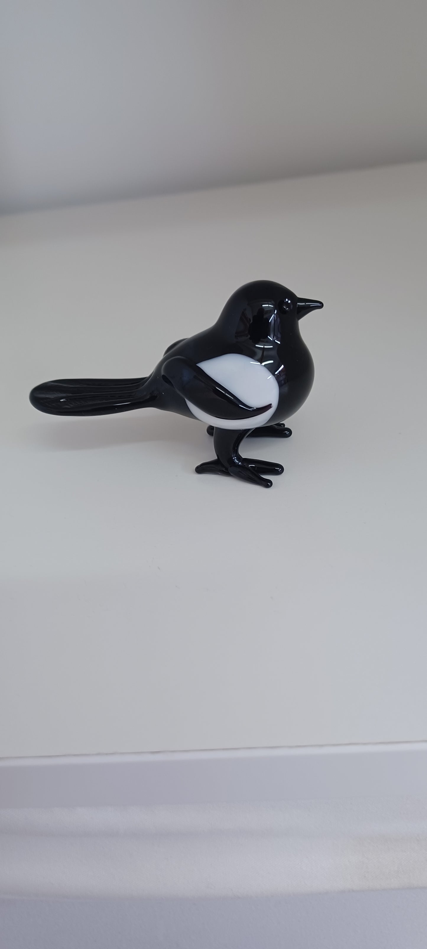 Glass Magpie