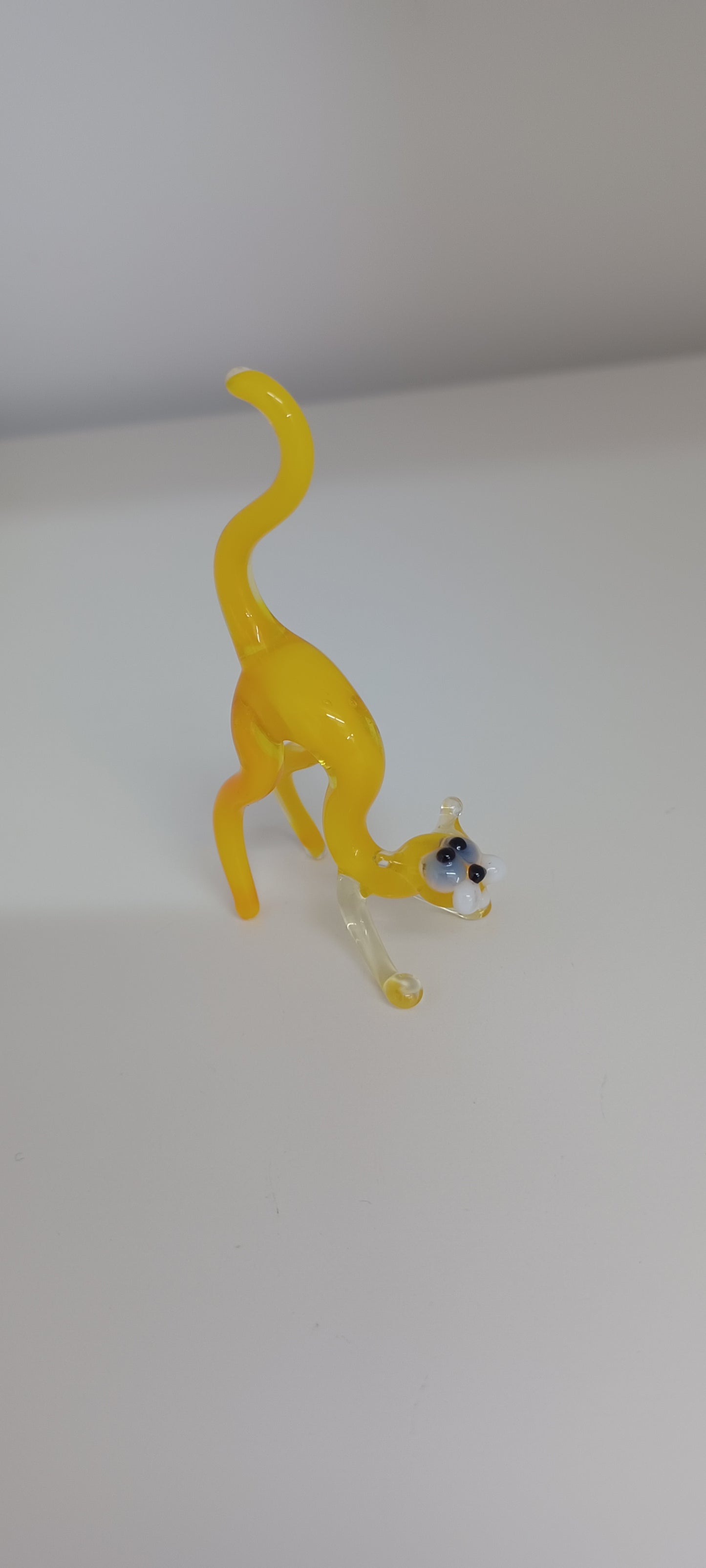 Glass Cat
