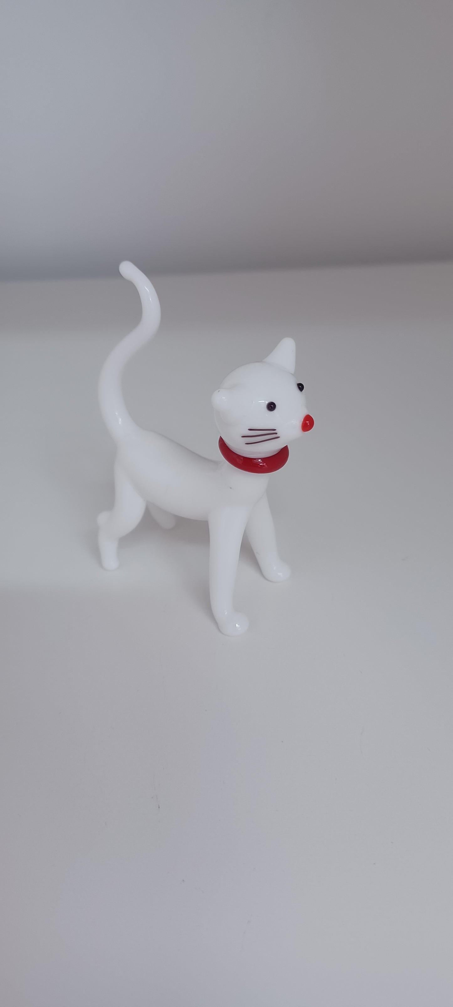 Glass Cat
