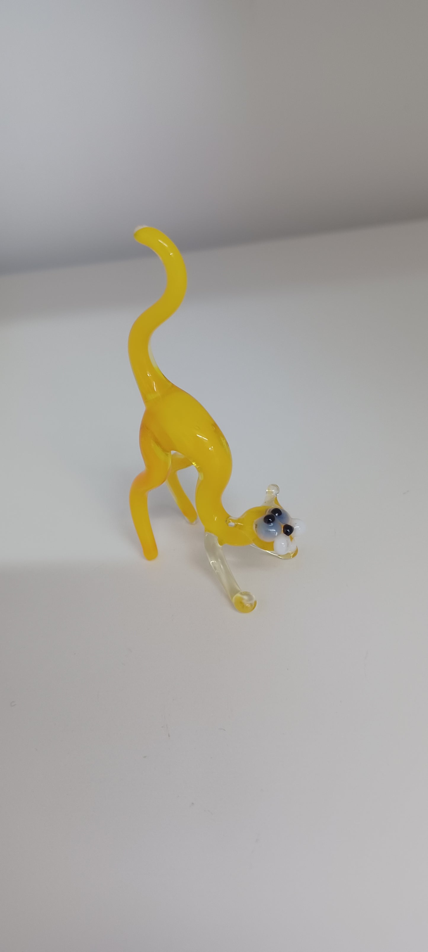 Glass Cat