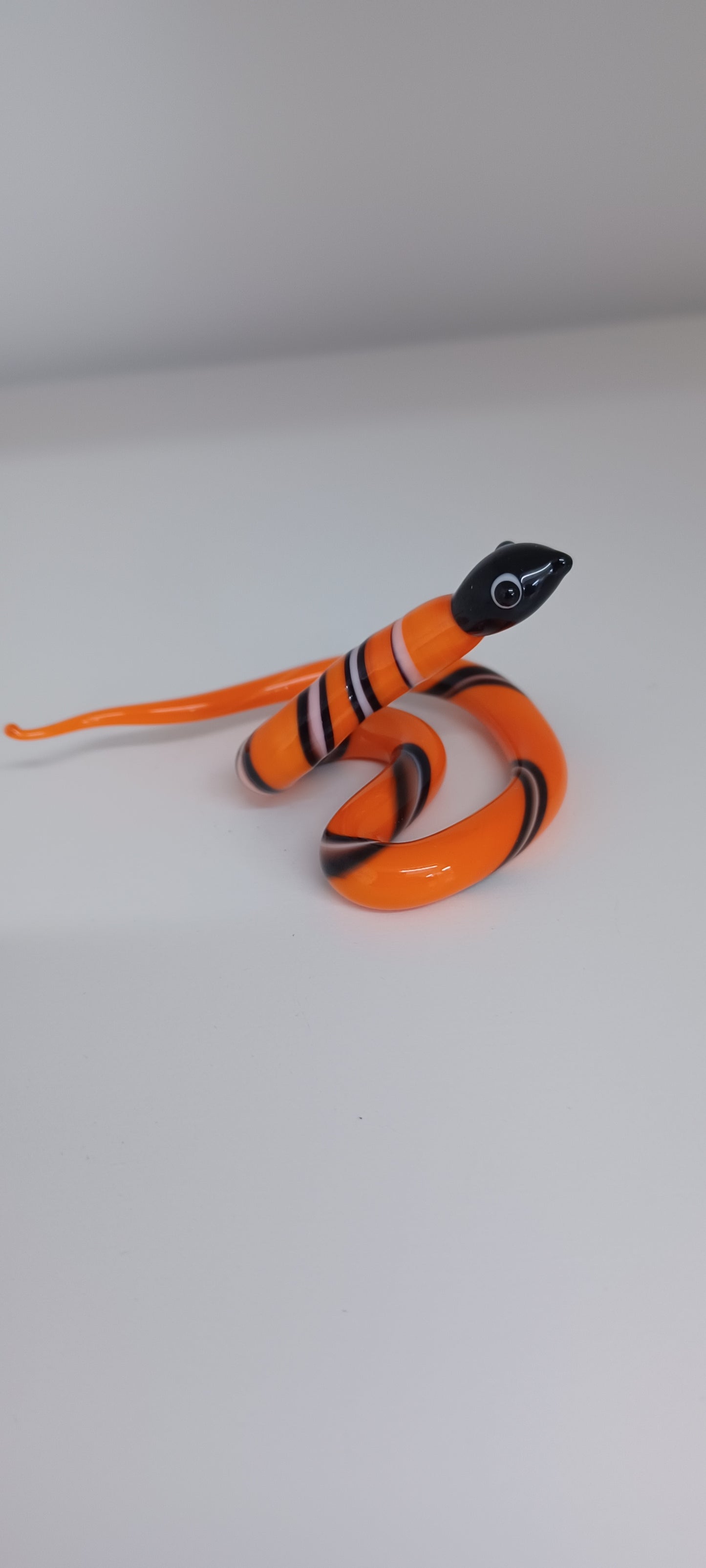 Glass Snake