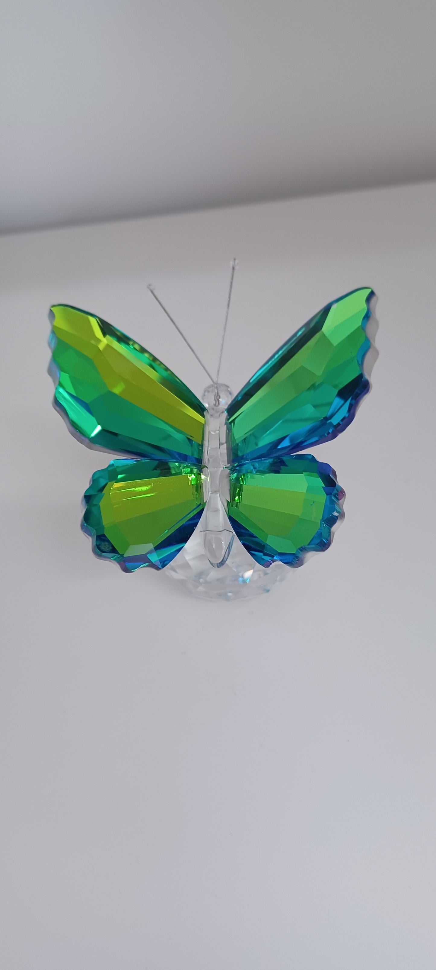 Glass Butterfly