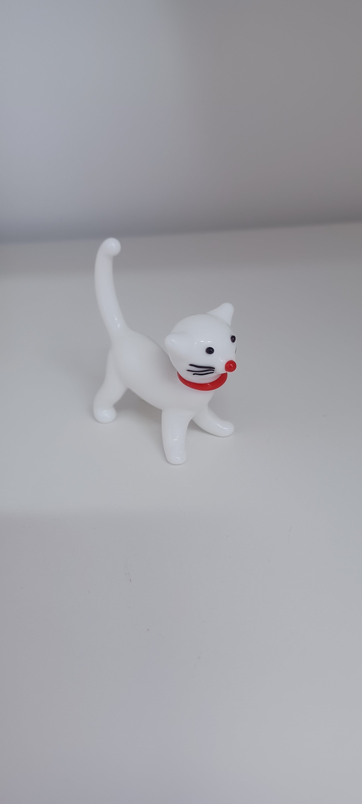 Glass Cat