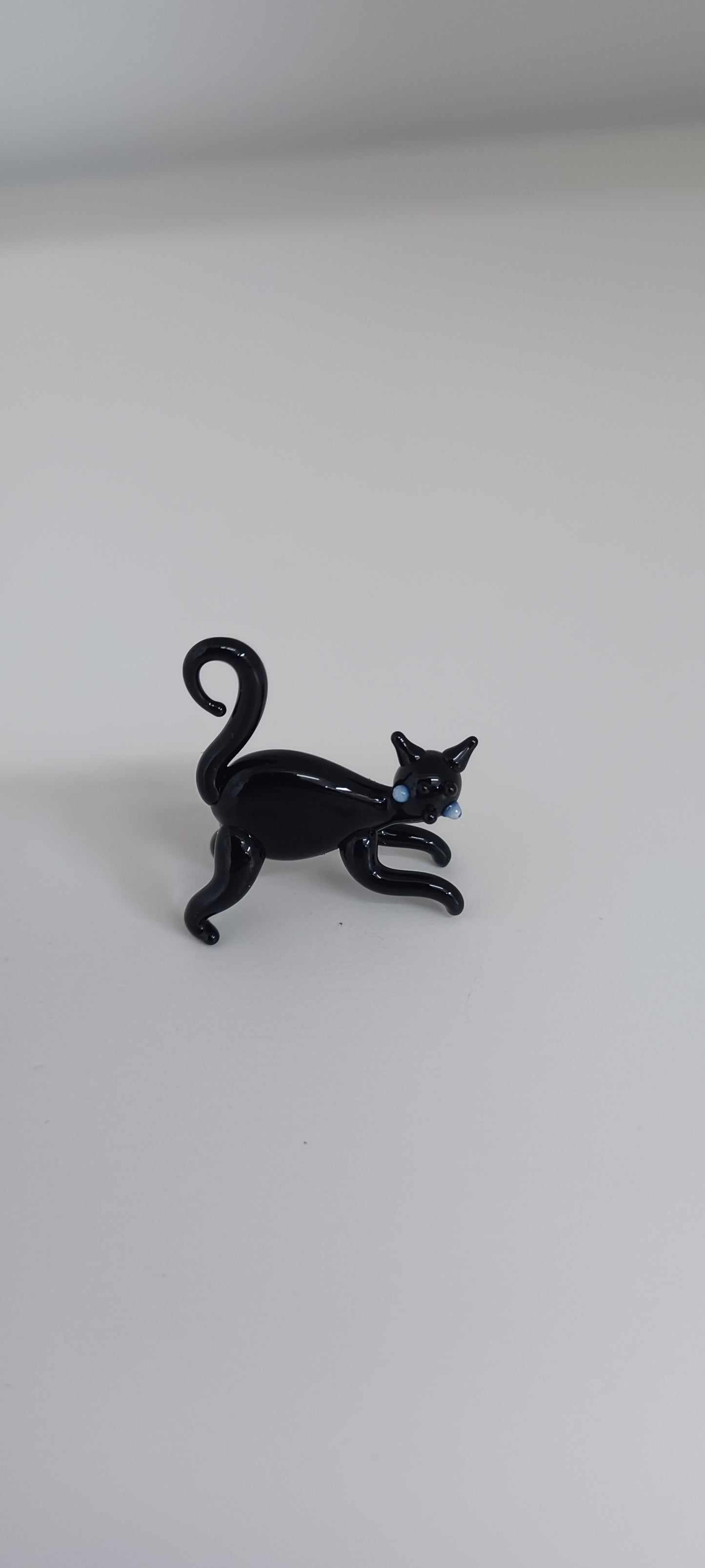 Glass Cat