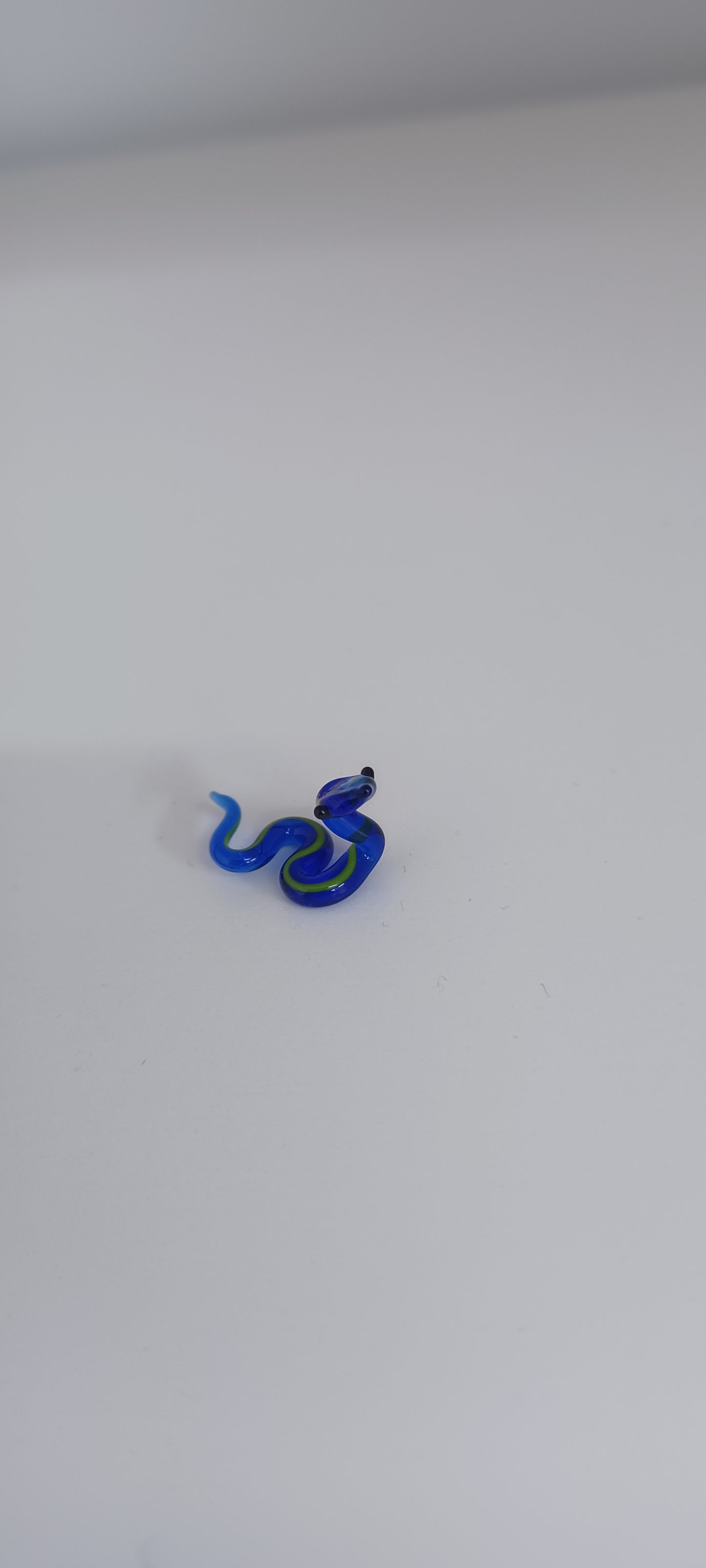 Glass Snake