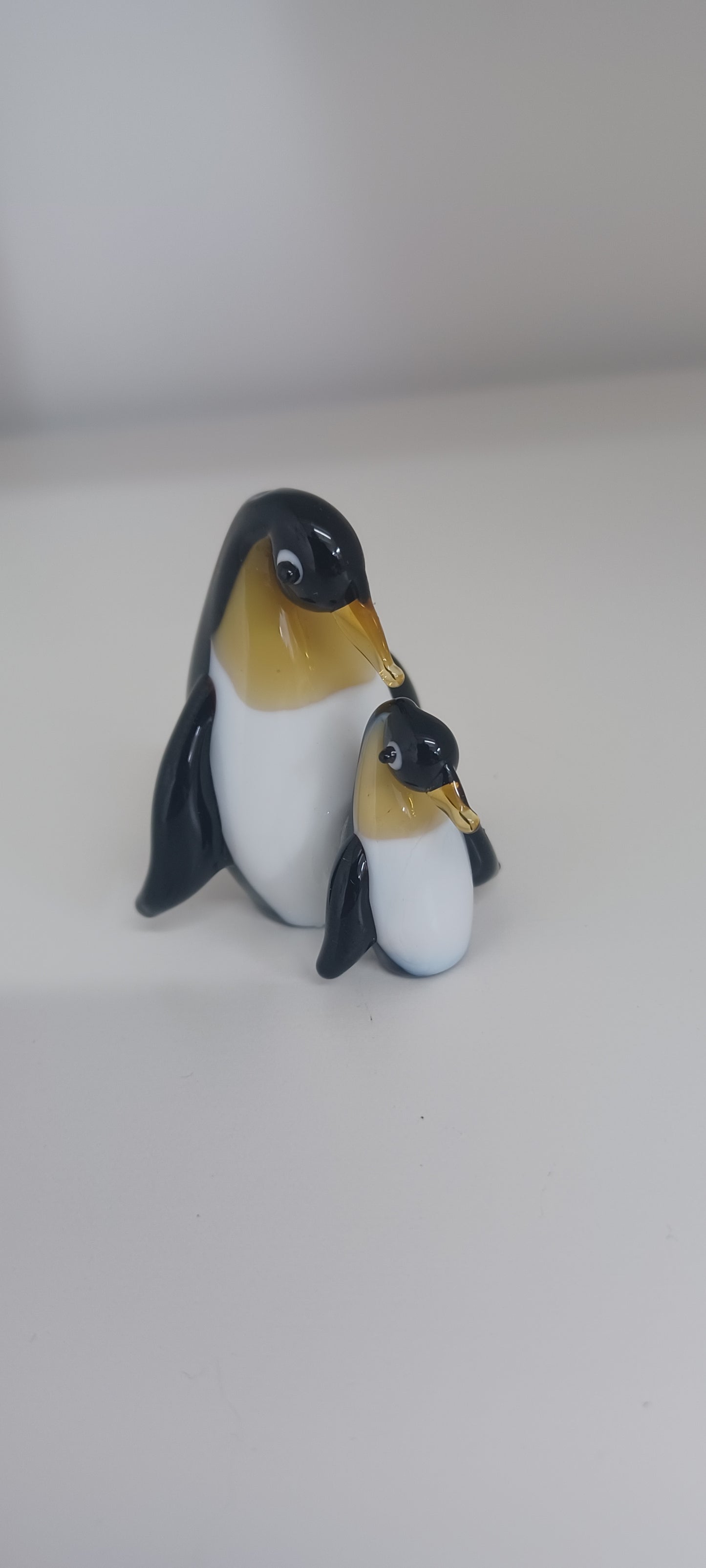 Glass Penguin