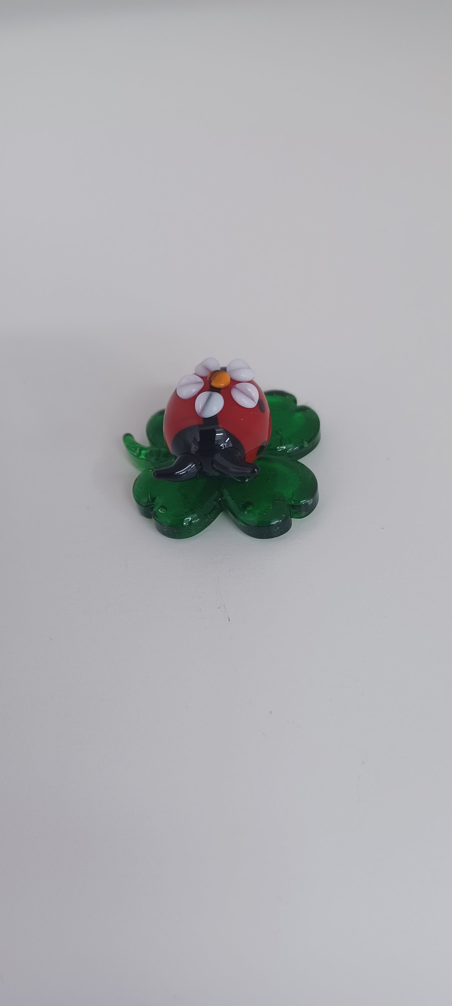 Glass Ladybird