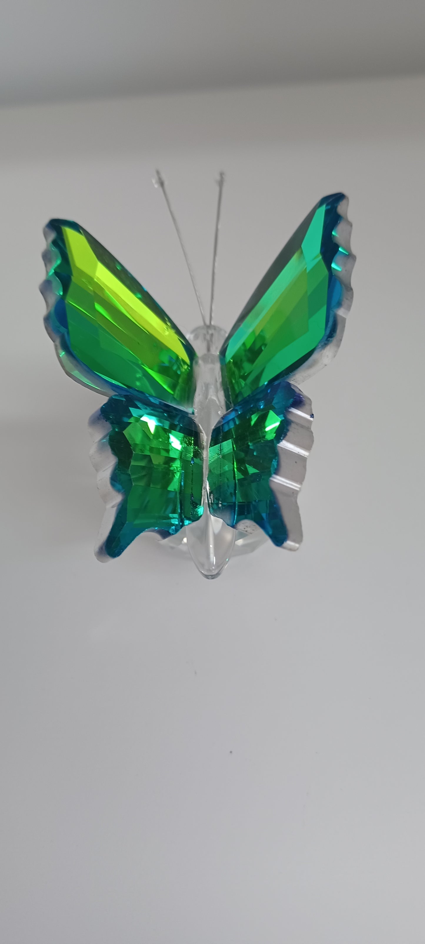 Glass Butterfly