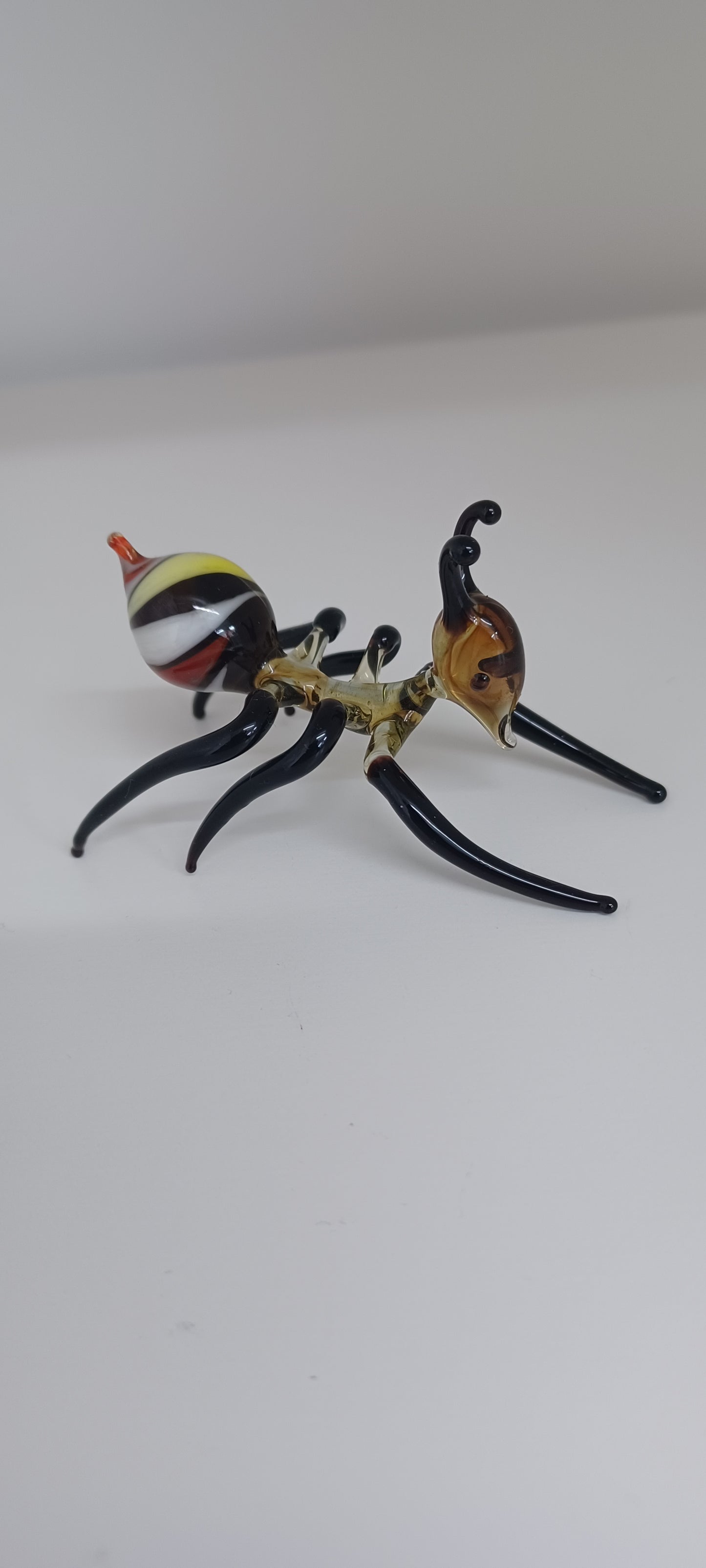 Glass Ant