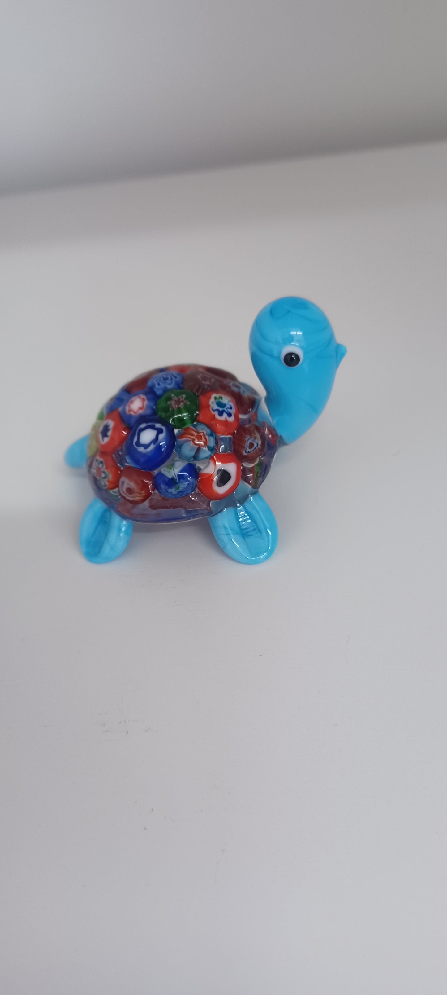 Glass Turtle
