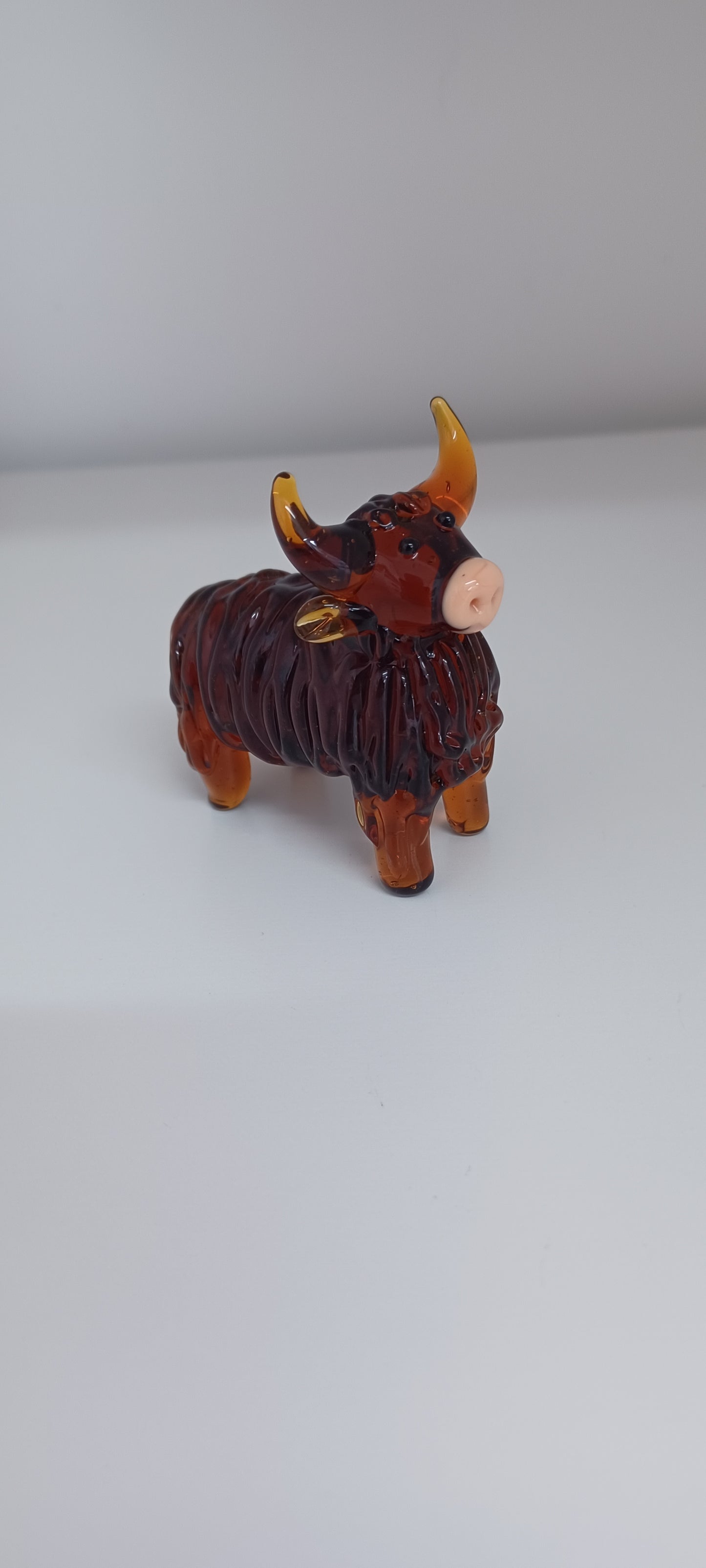 Highland Cow