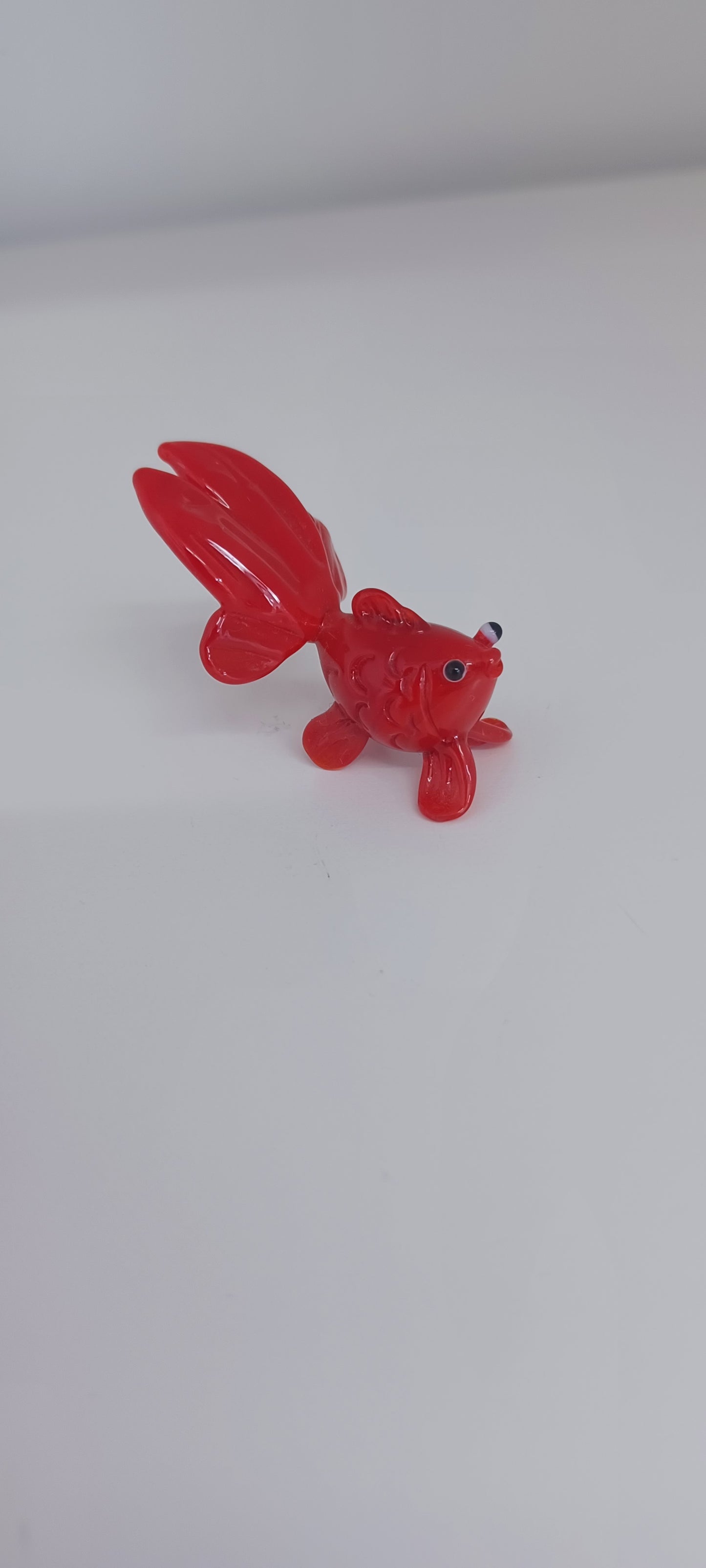 Glass Fish